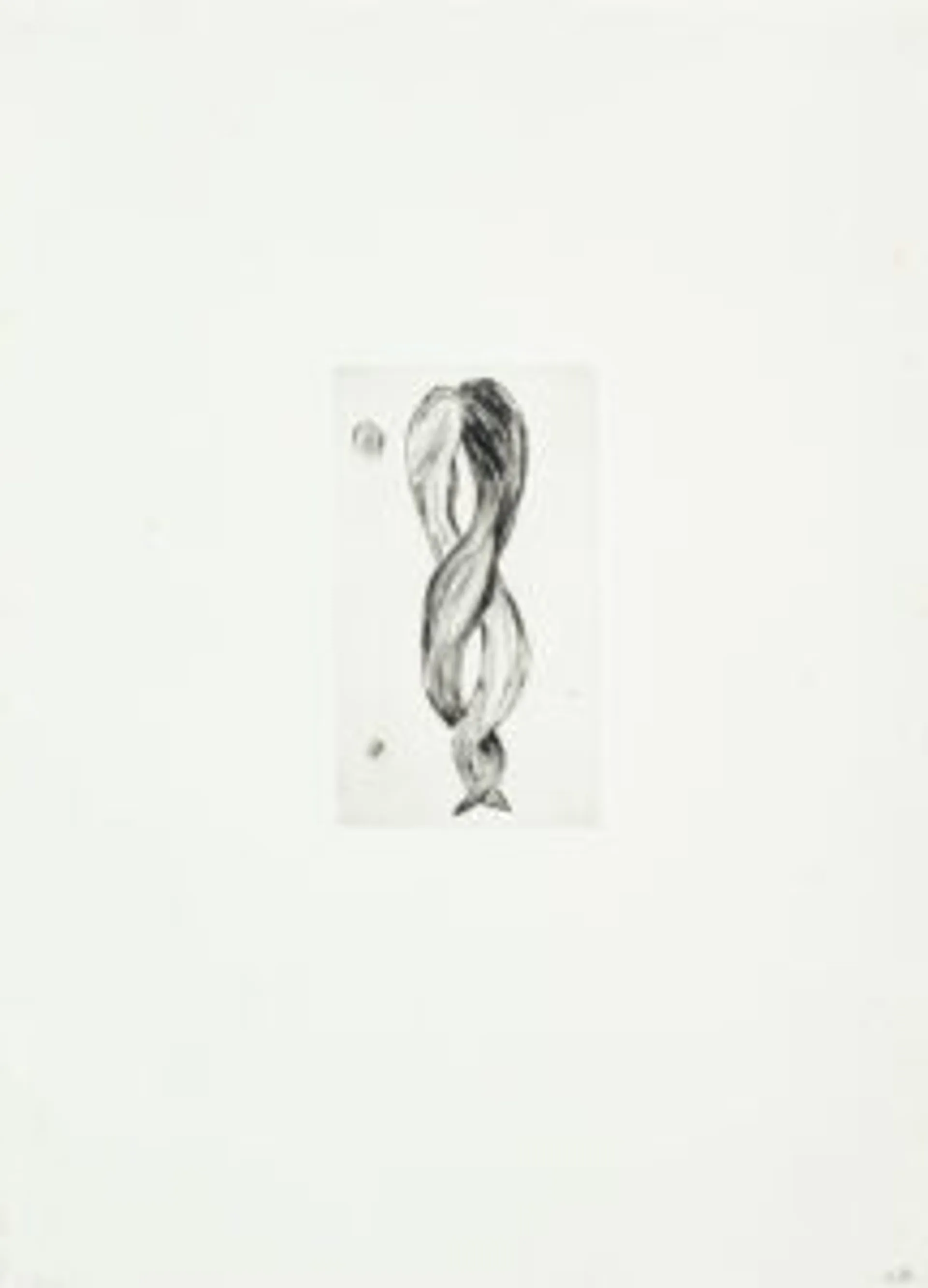 UNTITLED (ATTEMPT AT MEETING; HAIR)