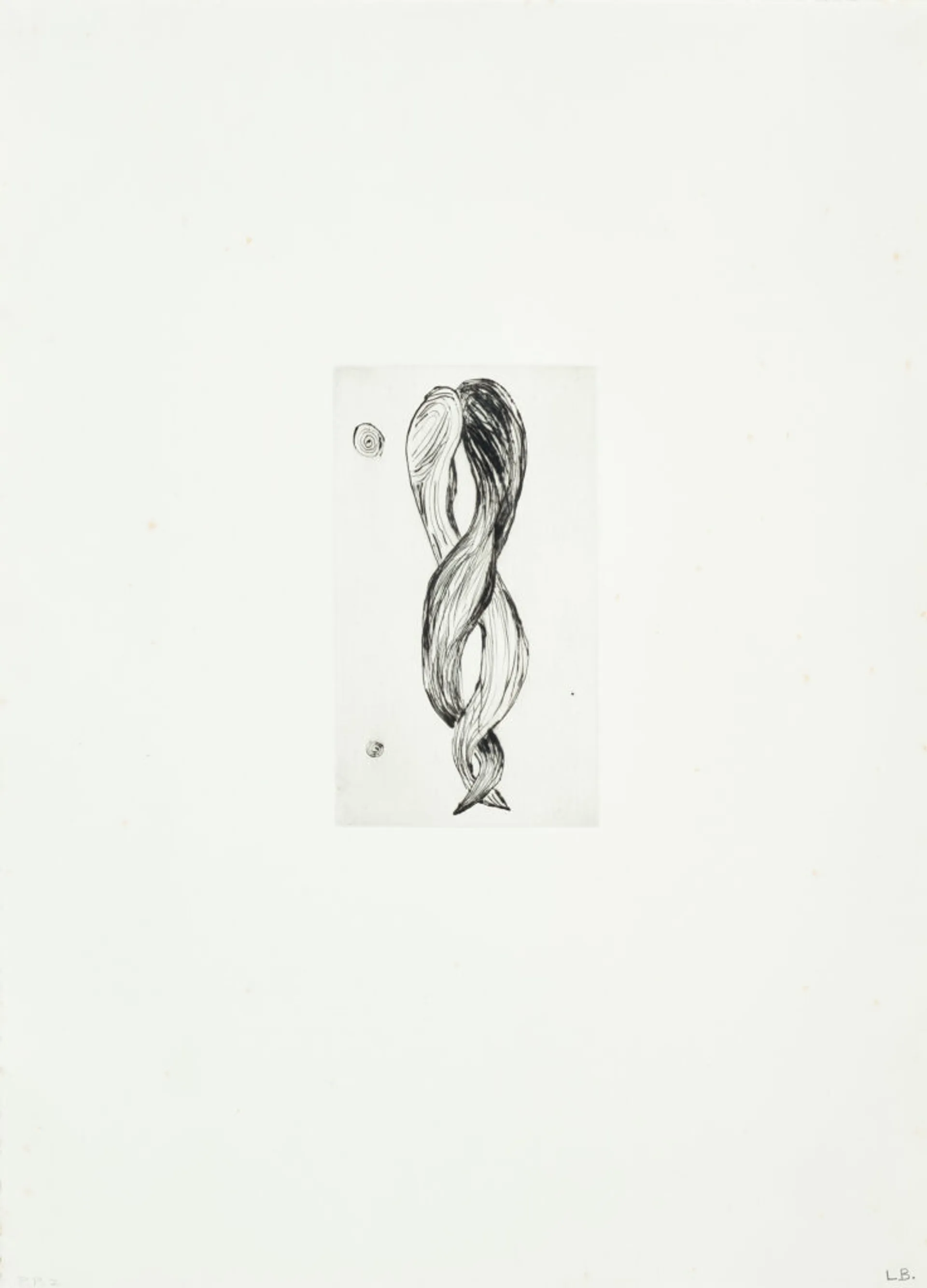 UNTITLED (ATTEMPT AT MEETING; HAIR)