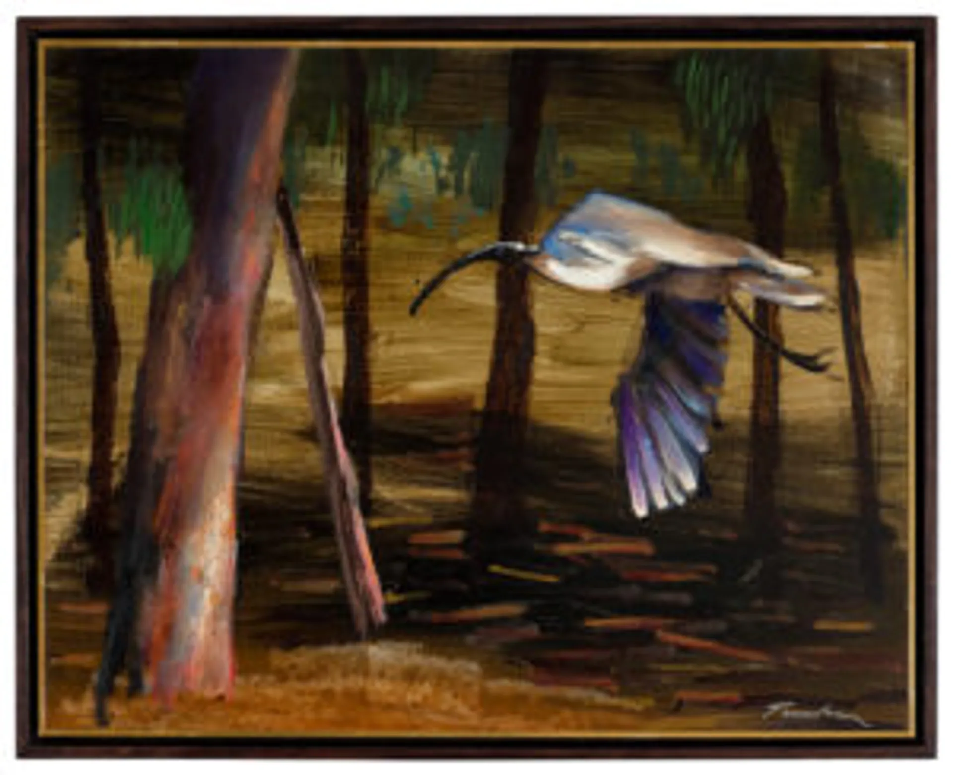 IBIS IN FLIGHT