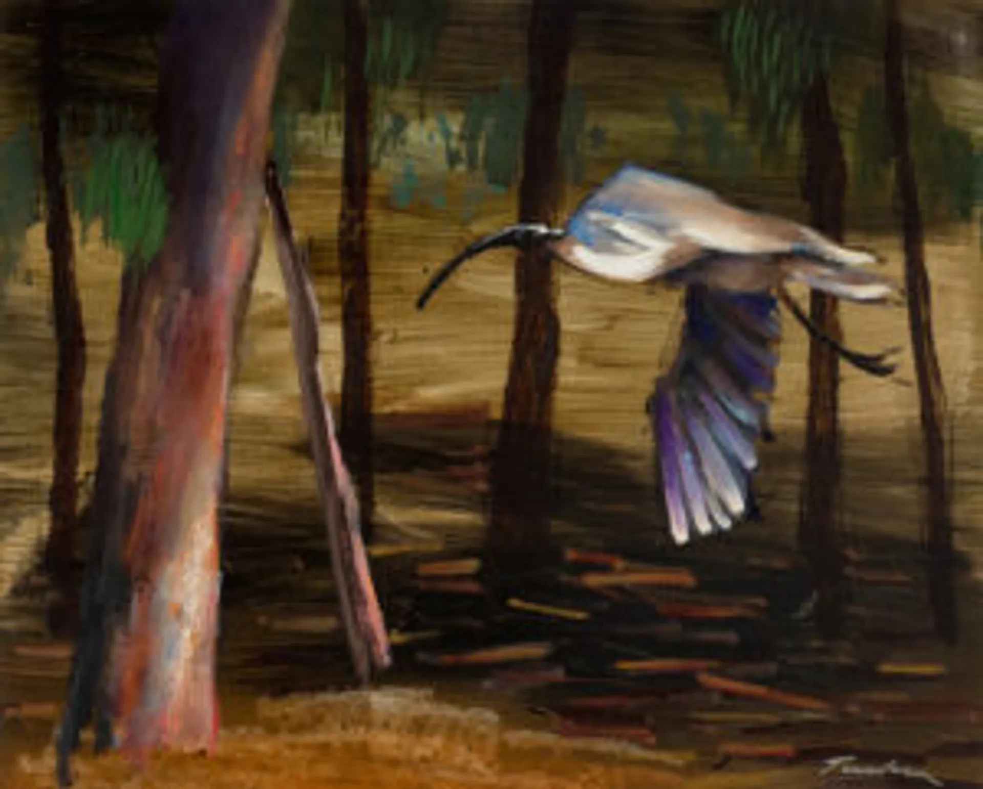 IBIS IN FLIGHT
