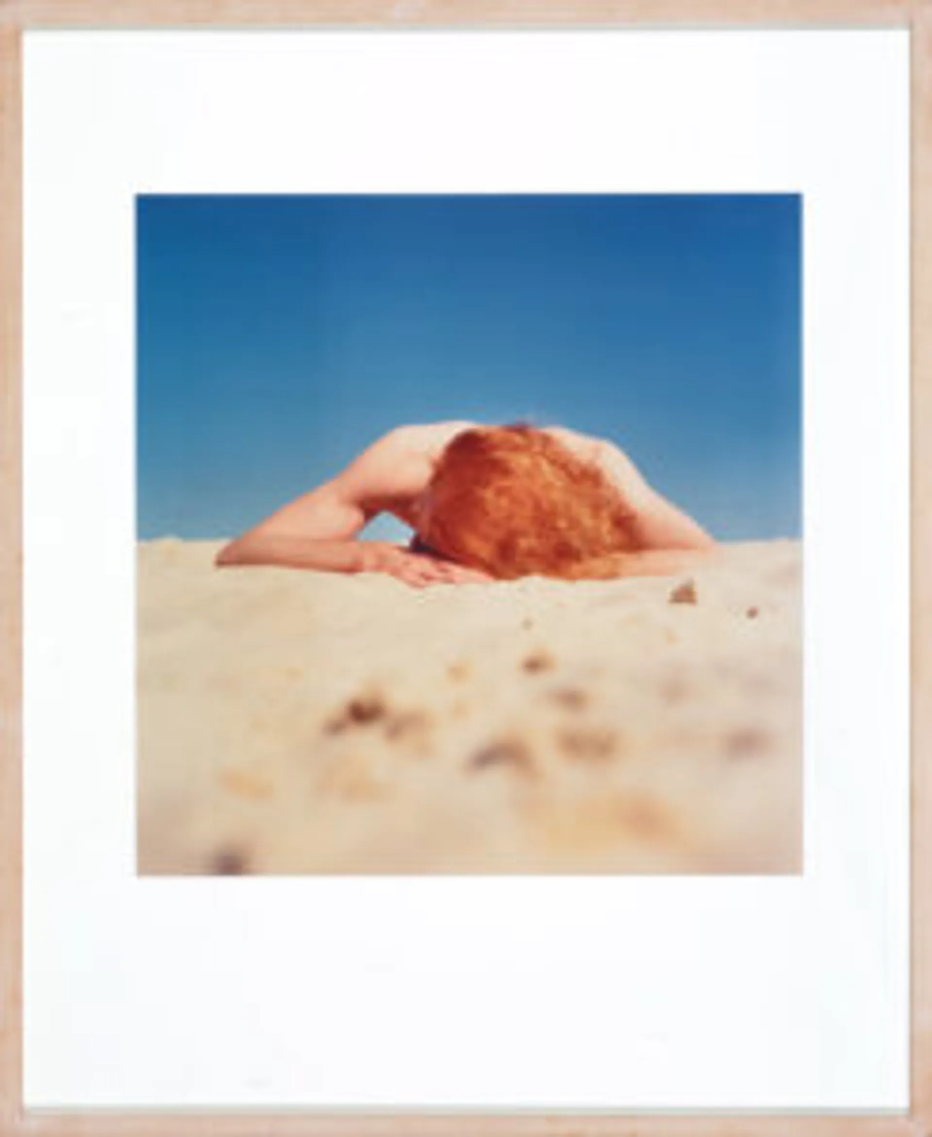 THE SUNBATHER #2