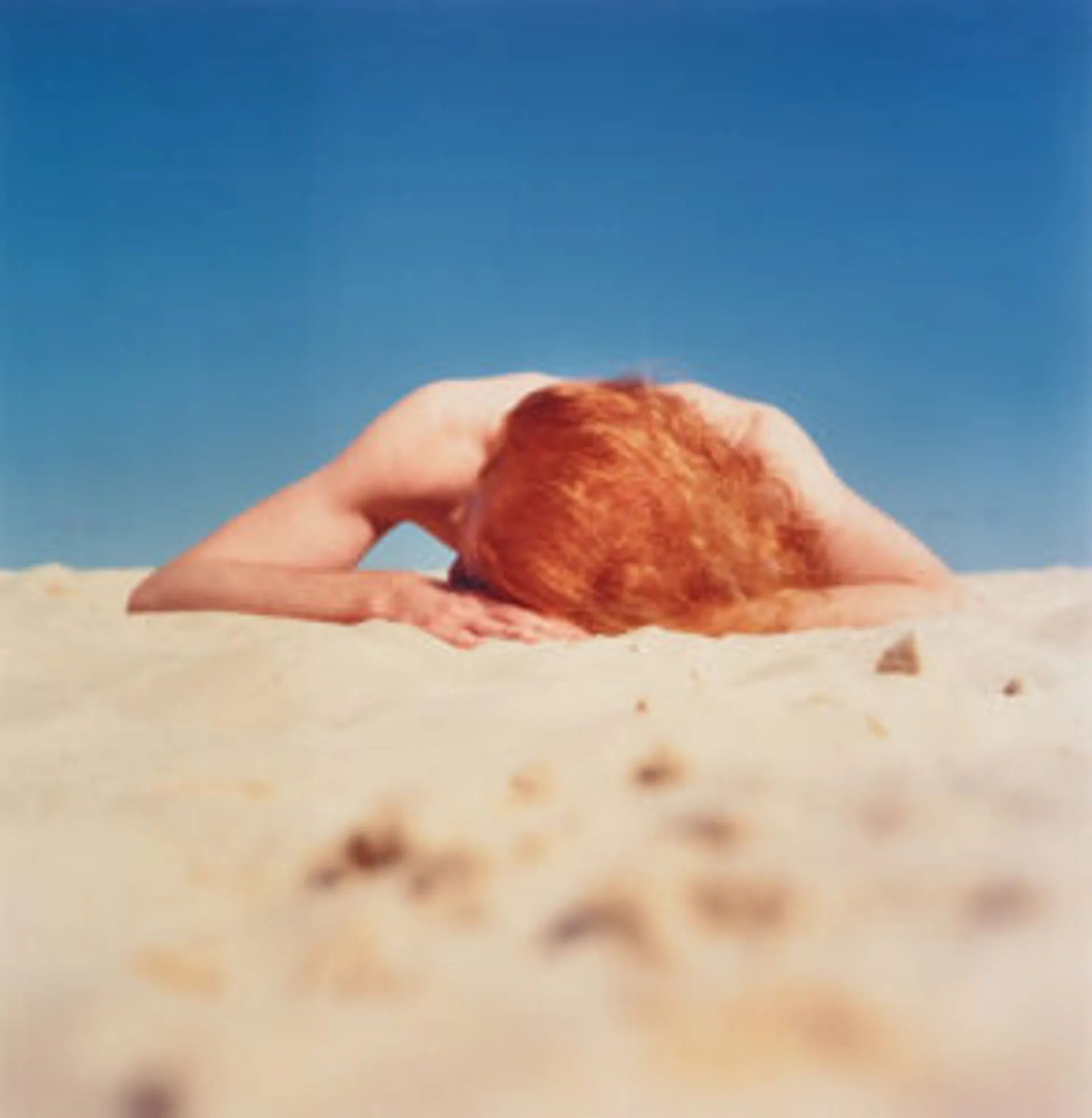 THE SUNBATHER #2