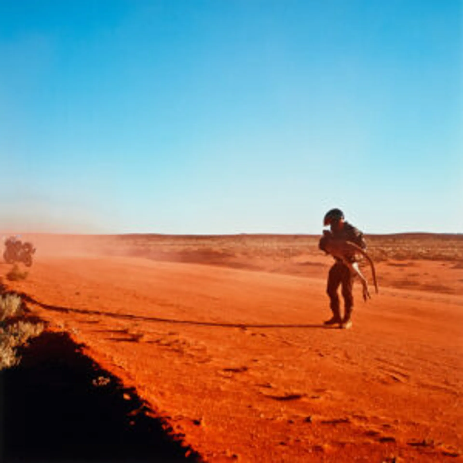 APOLOGY TO ROADKILL: DAYDREAM MINE ROAD