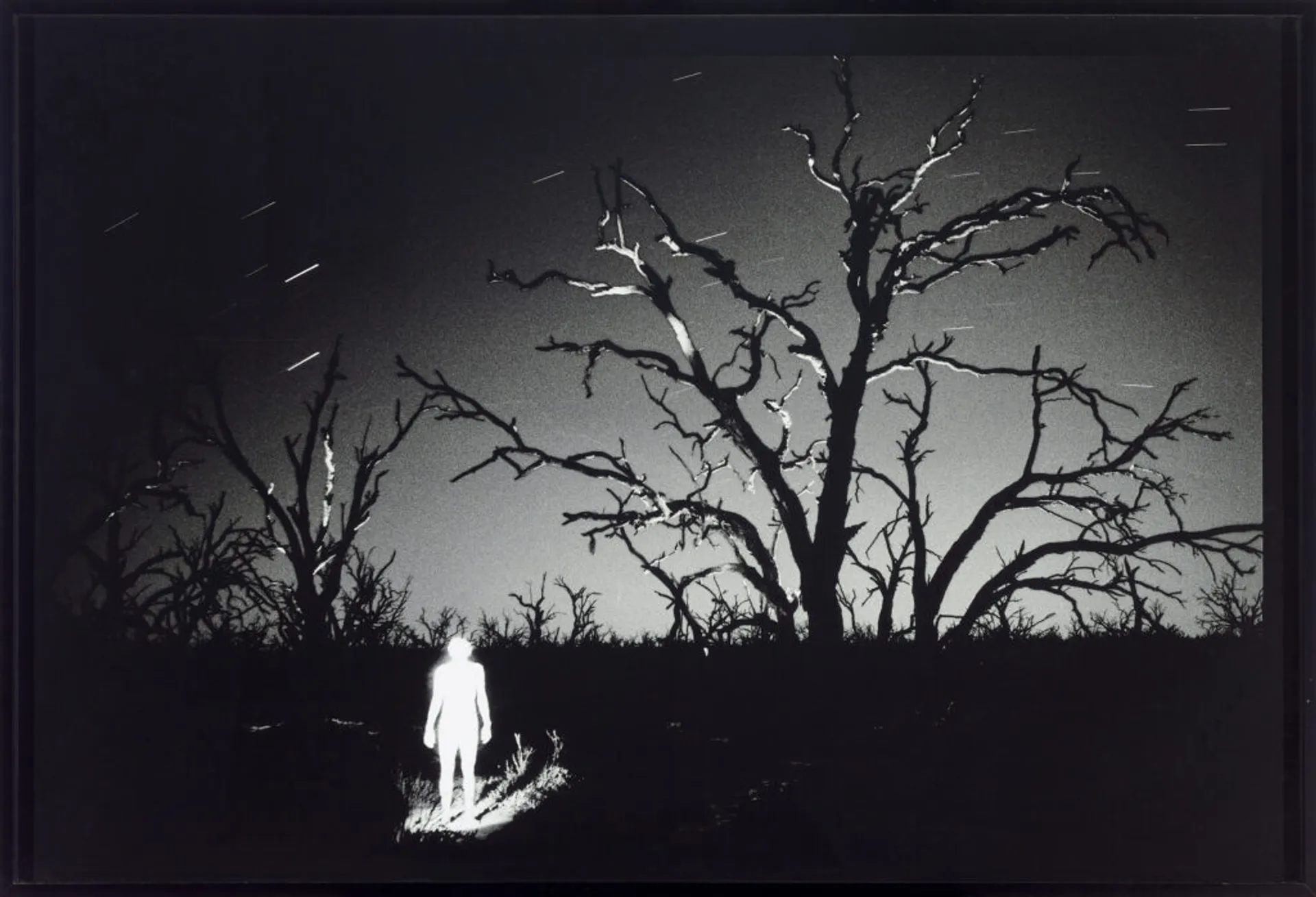 MIDNIGHT SELF PORTRAIT, MENINDEE, OUTBACK NSW