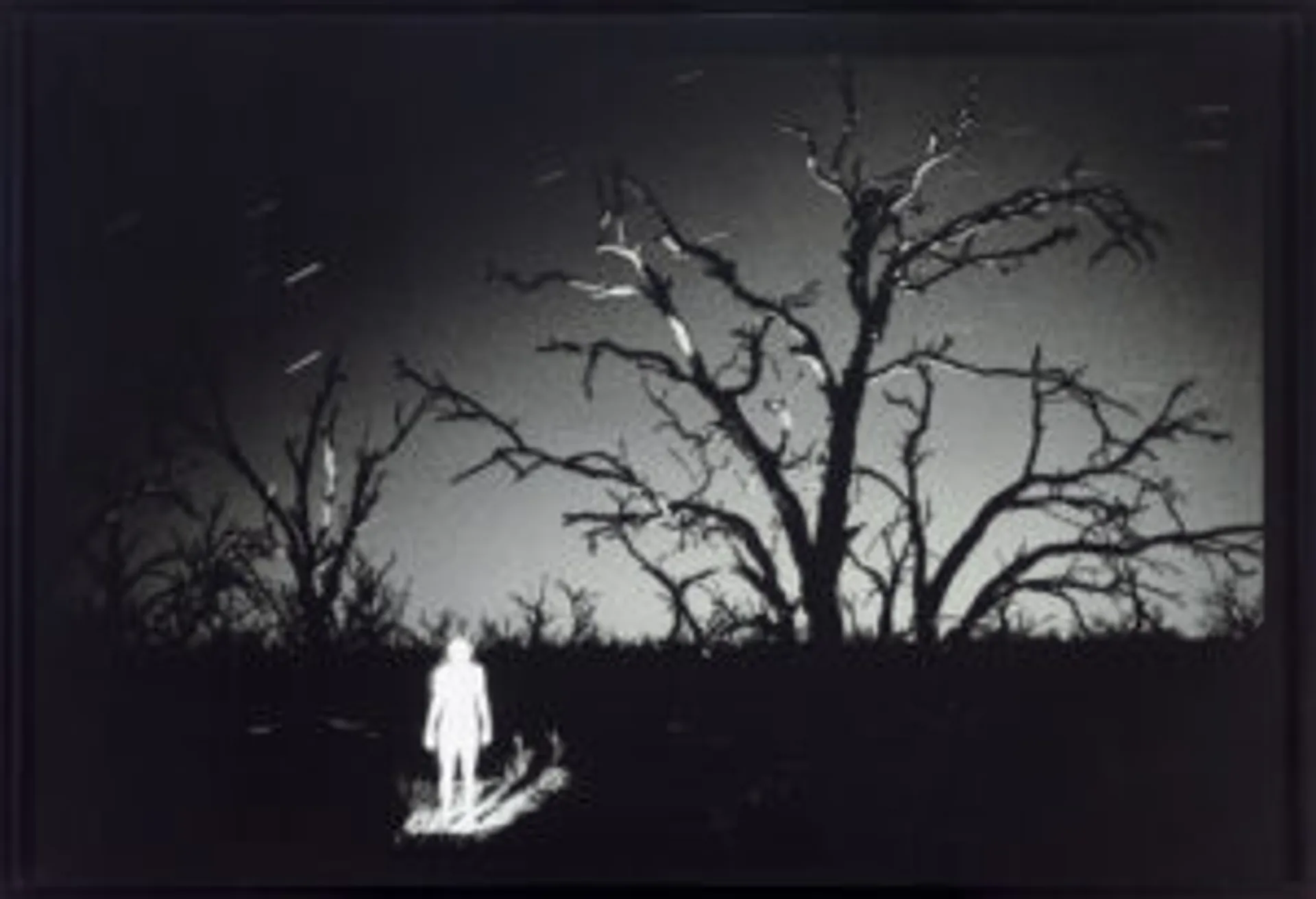 MIDNIGHT SELF PORTRAIT, MENINDEE, OUTBACK NSW
