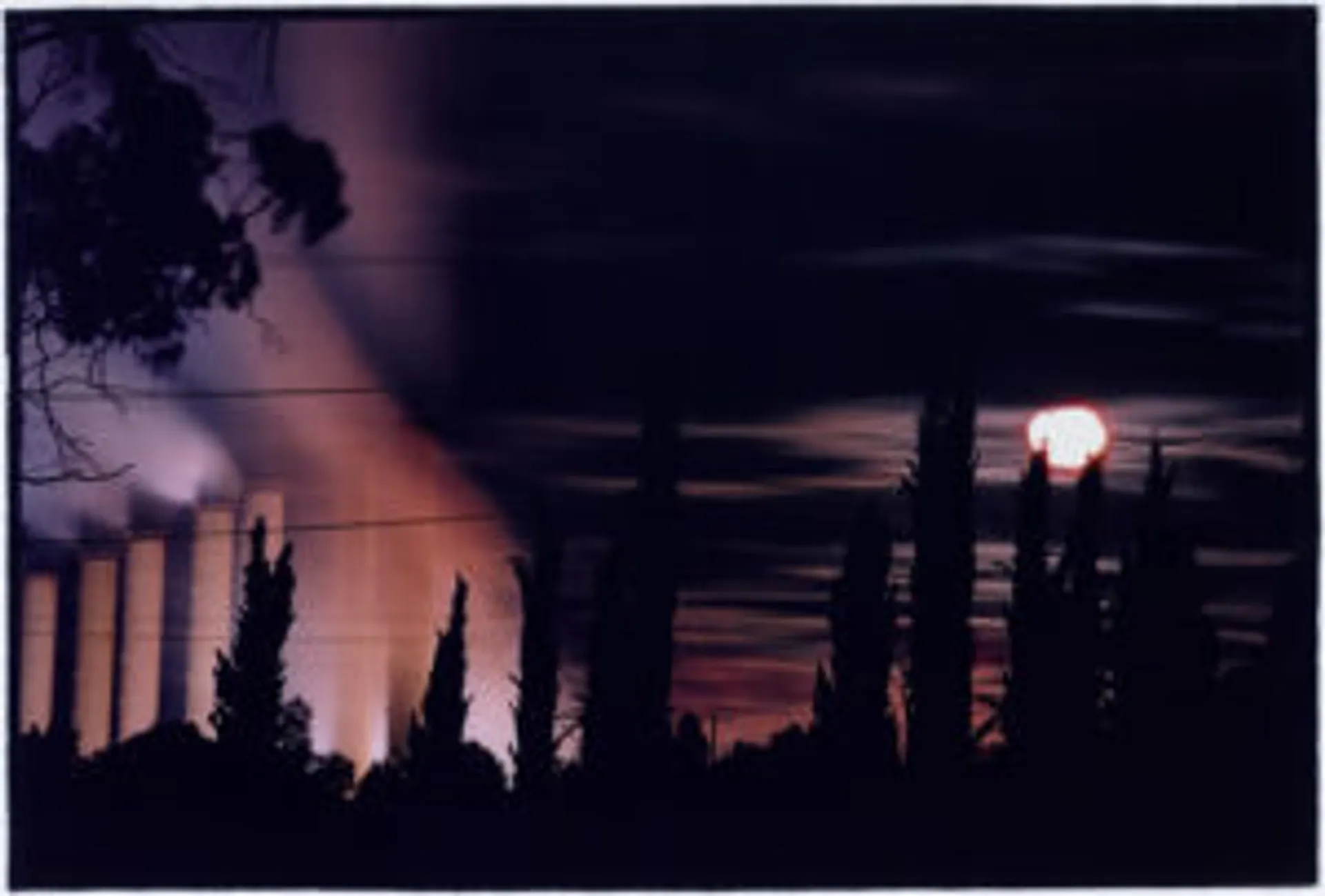 UNTITLED #83