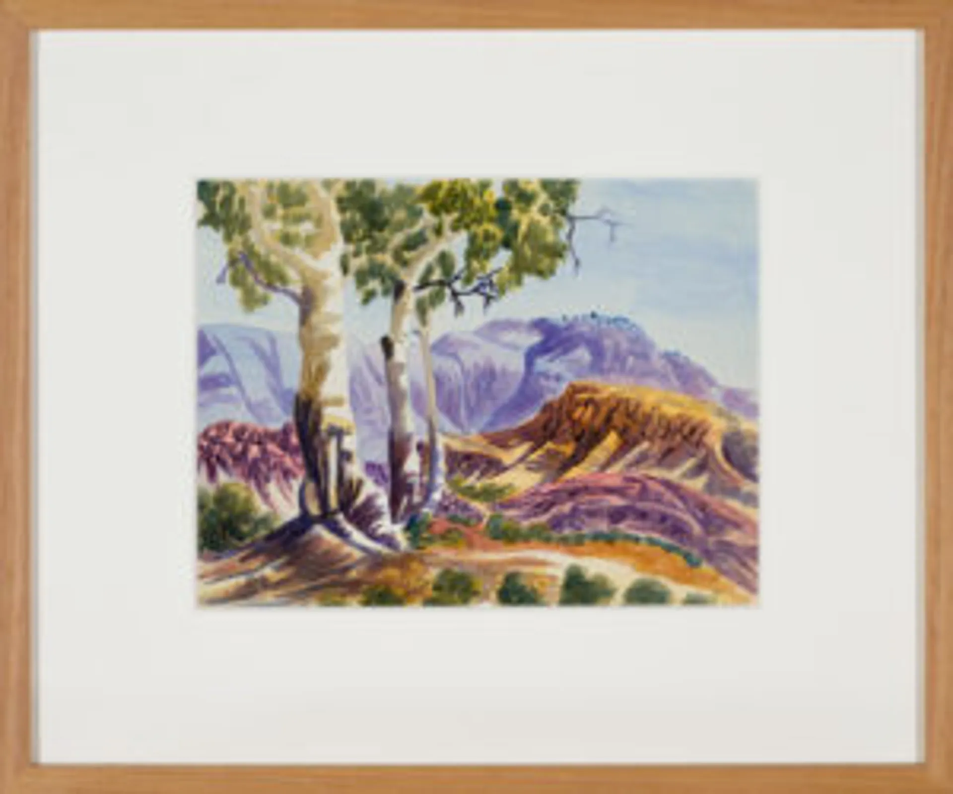 I. CENTRAL AUSTRALIAN LANDSCAPE II. CENTRAL AUSTRALIAN LANDSCAPE