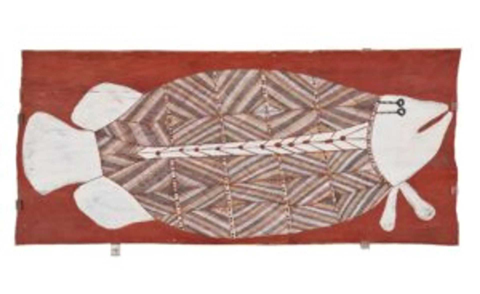 BIRLMU OR NAMARNKORL (BARRAMUNDI)