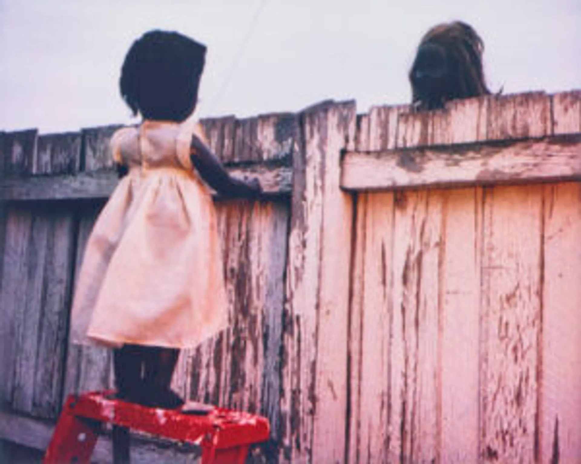 OVER THE FENCE
