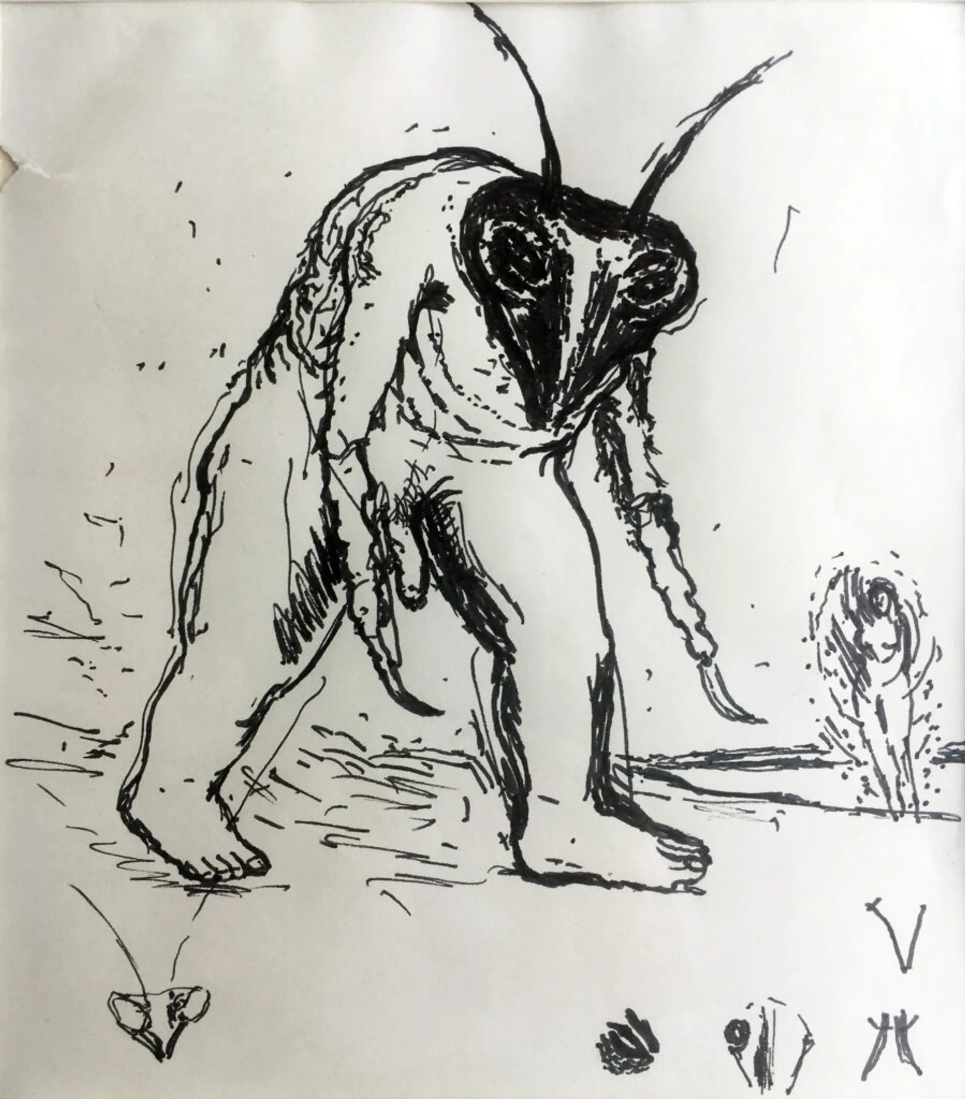 INSECT MONSTER
