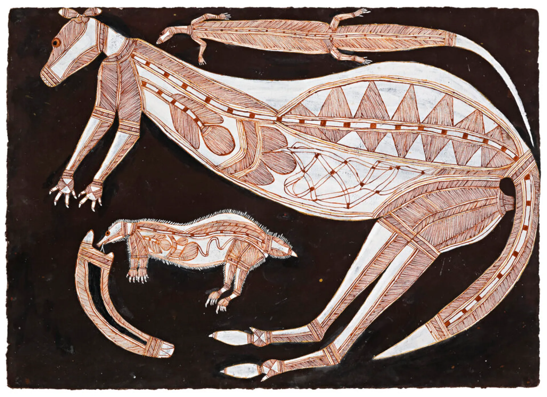 DJEKERRE – FEMALE BLACK ROCK WALLABY / NGARRBEK – ECHIDNA,