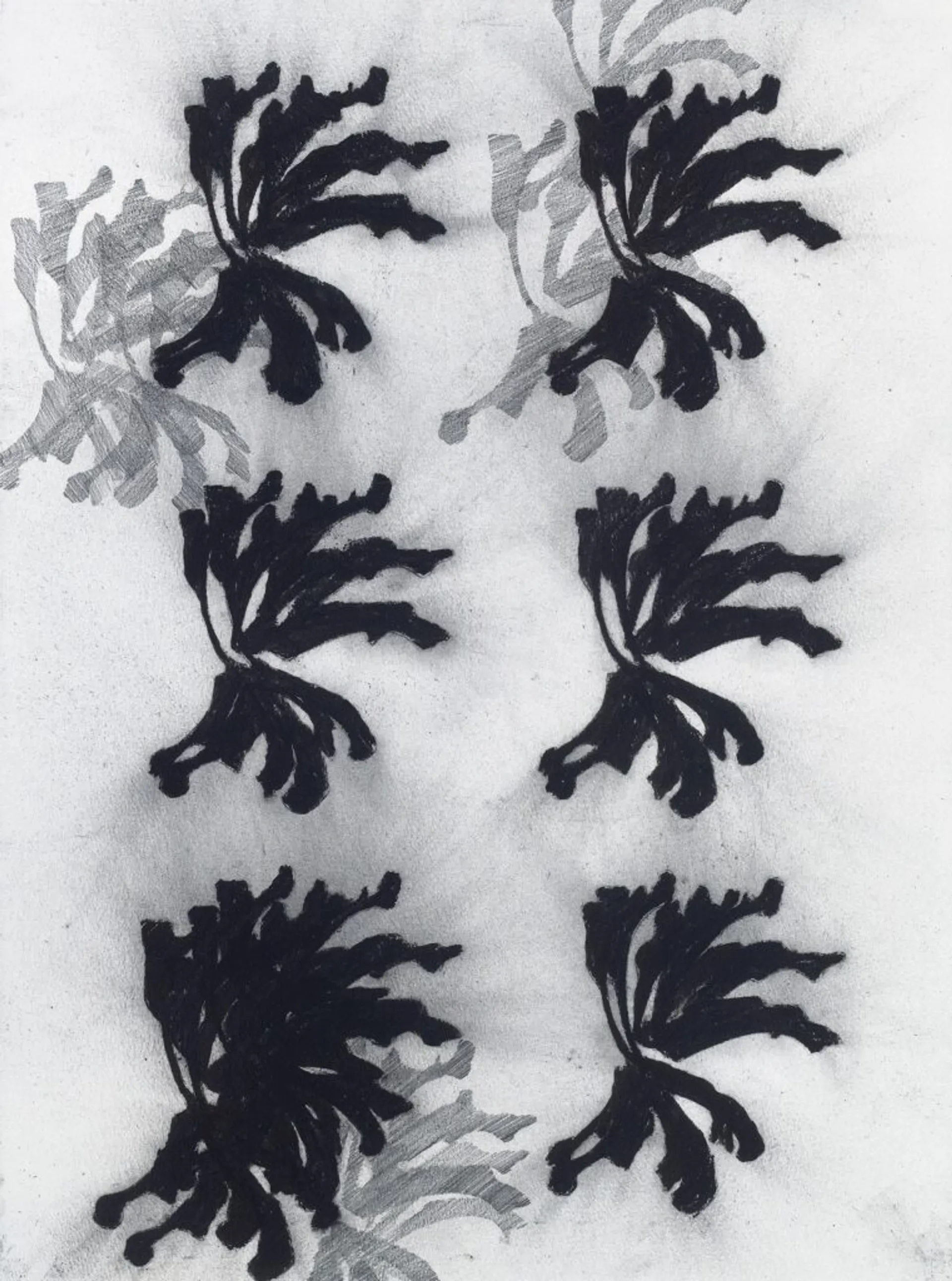 UNTITLED