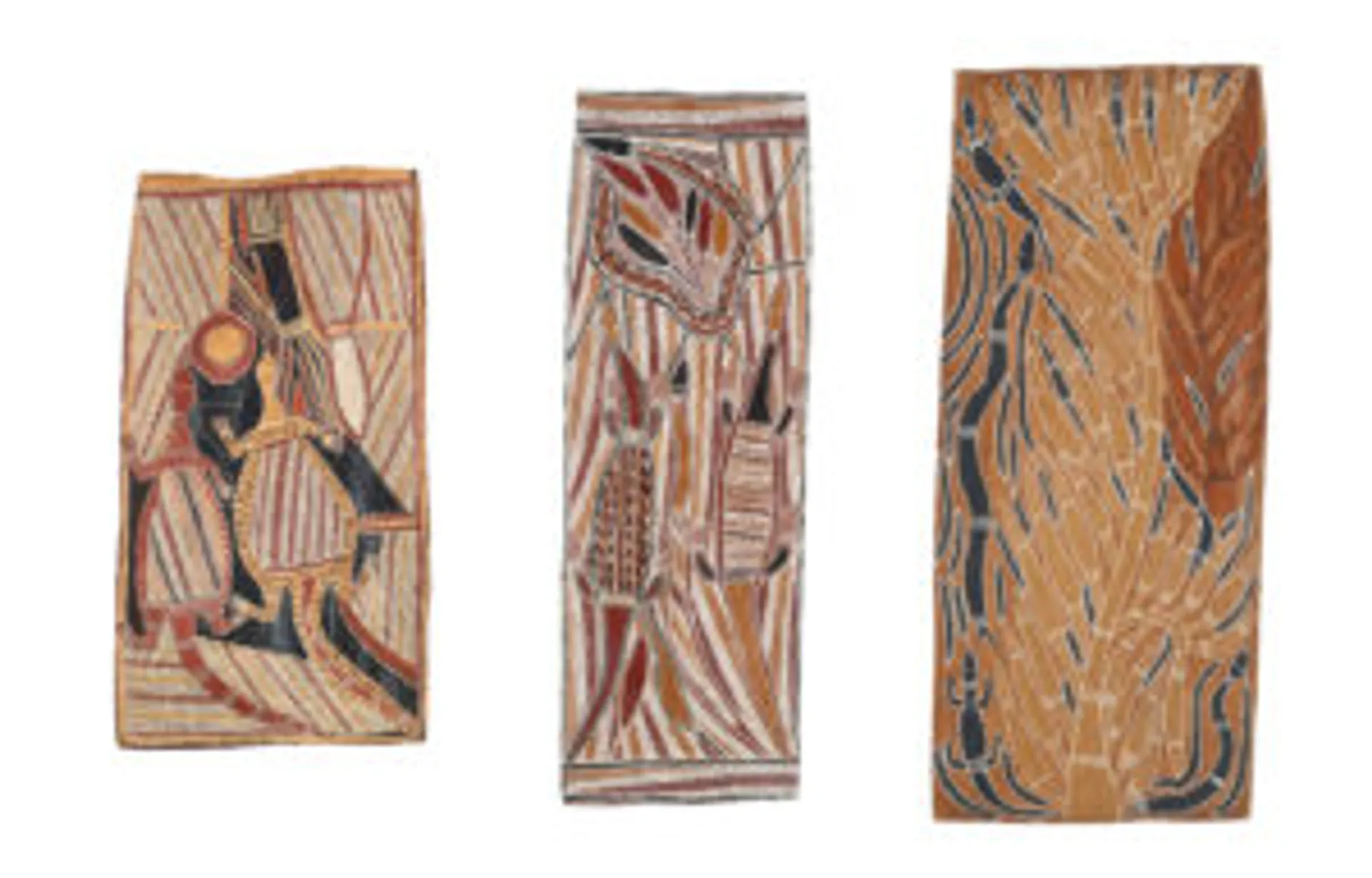 THREE EUCALYPTUS BARKS