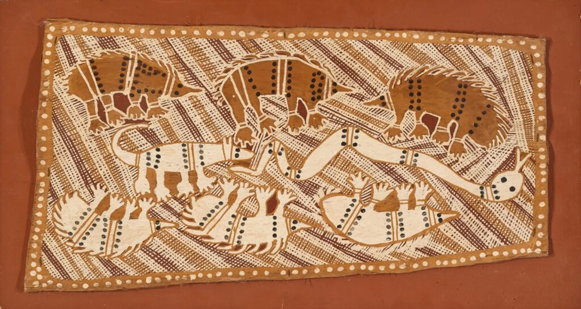 ECHIDNA AND GOANNA