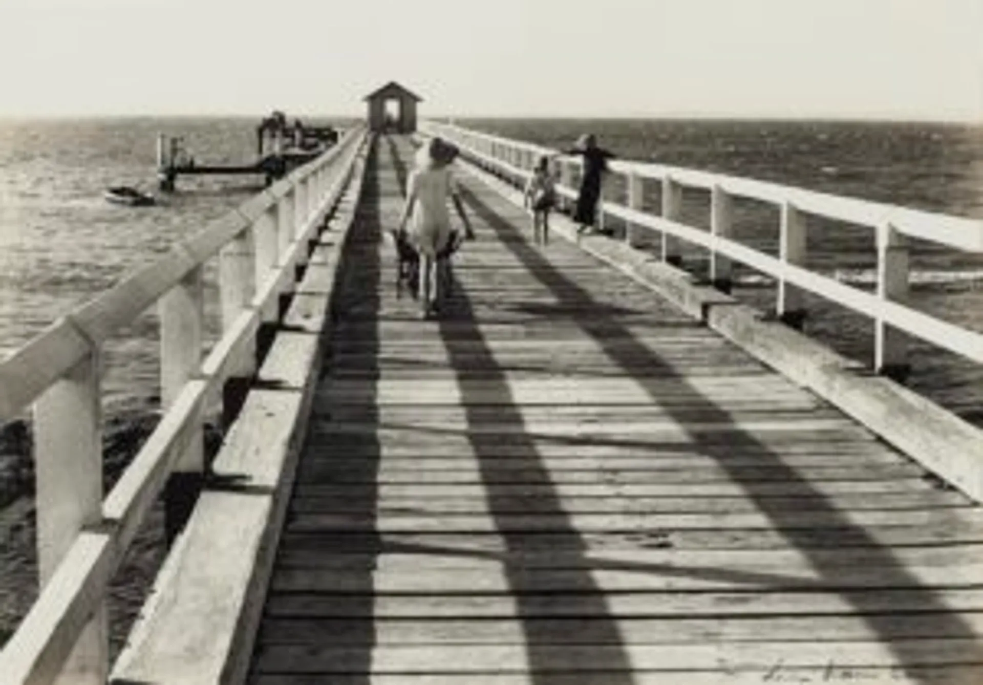 THE JETTY