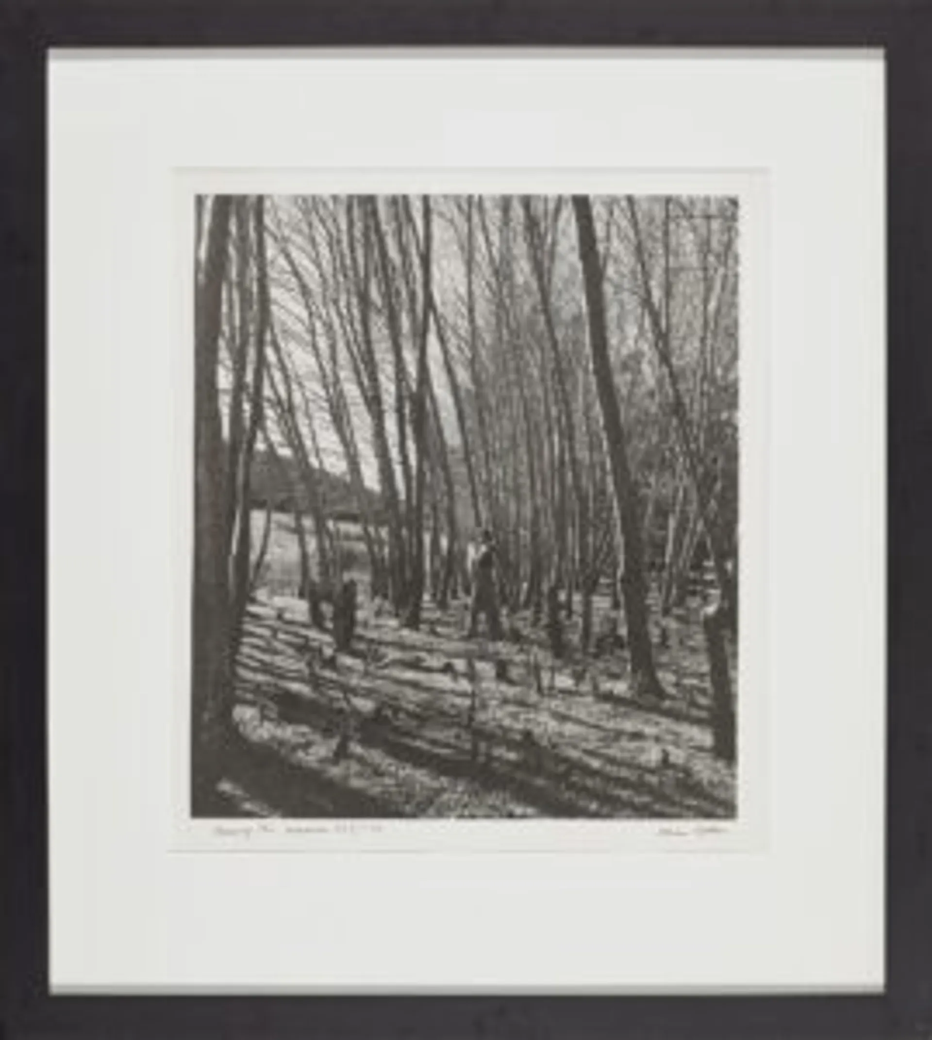 AMONG THE BEECHES