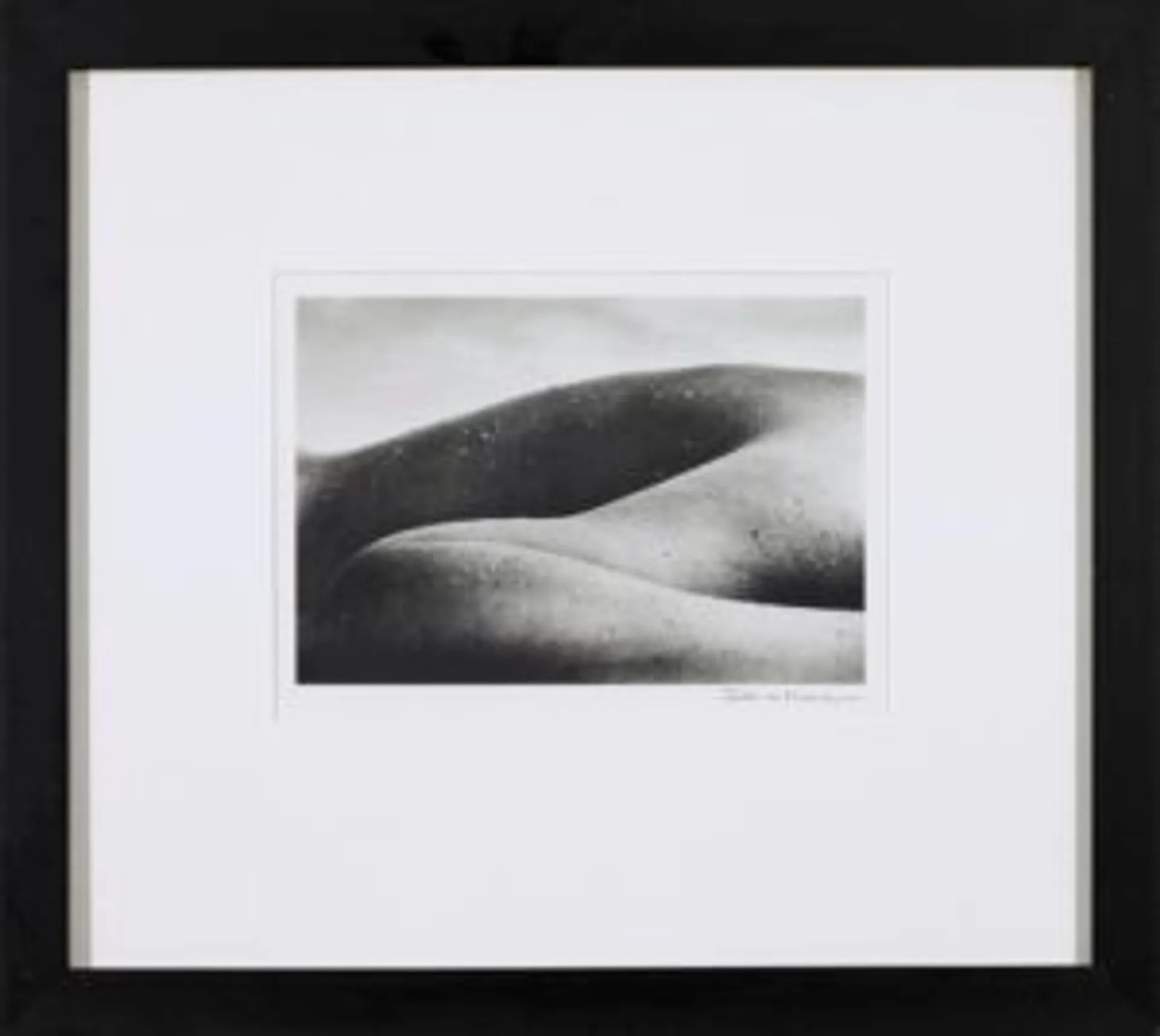 LANDSCAPE NUDE 1