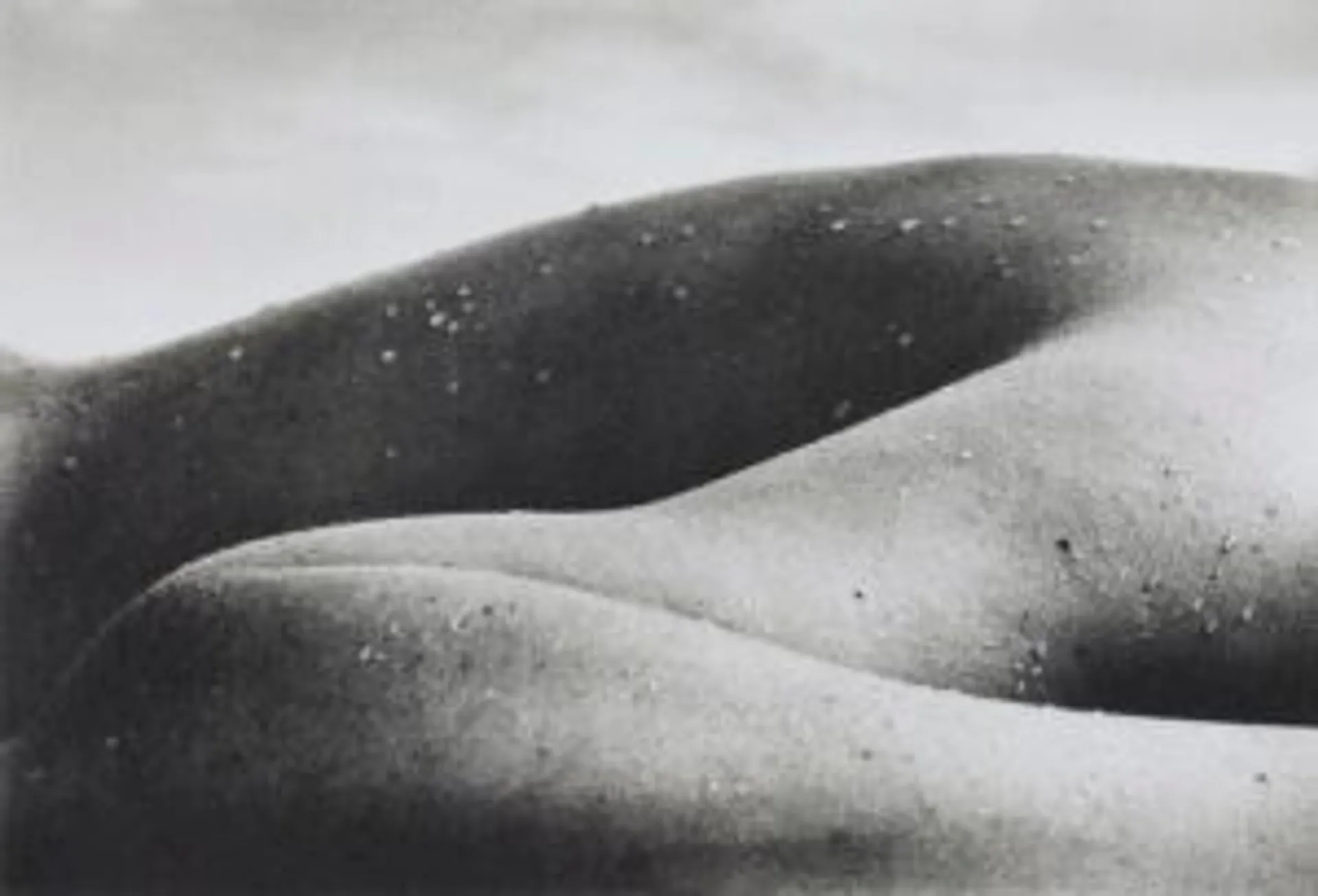 LANDSCAPE NUDE 1