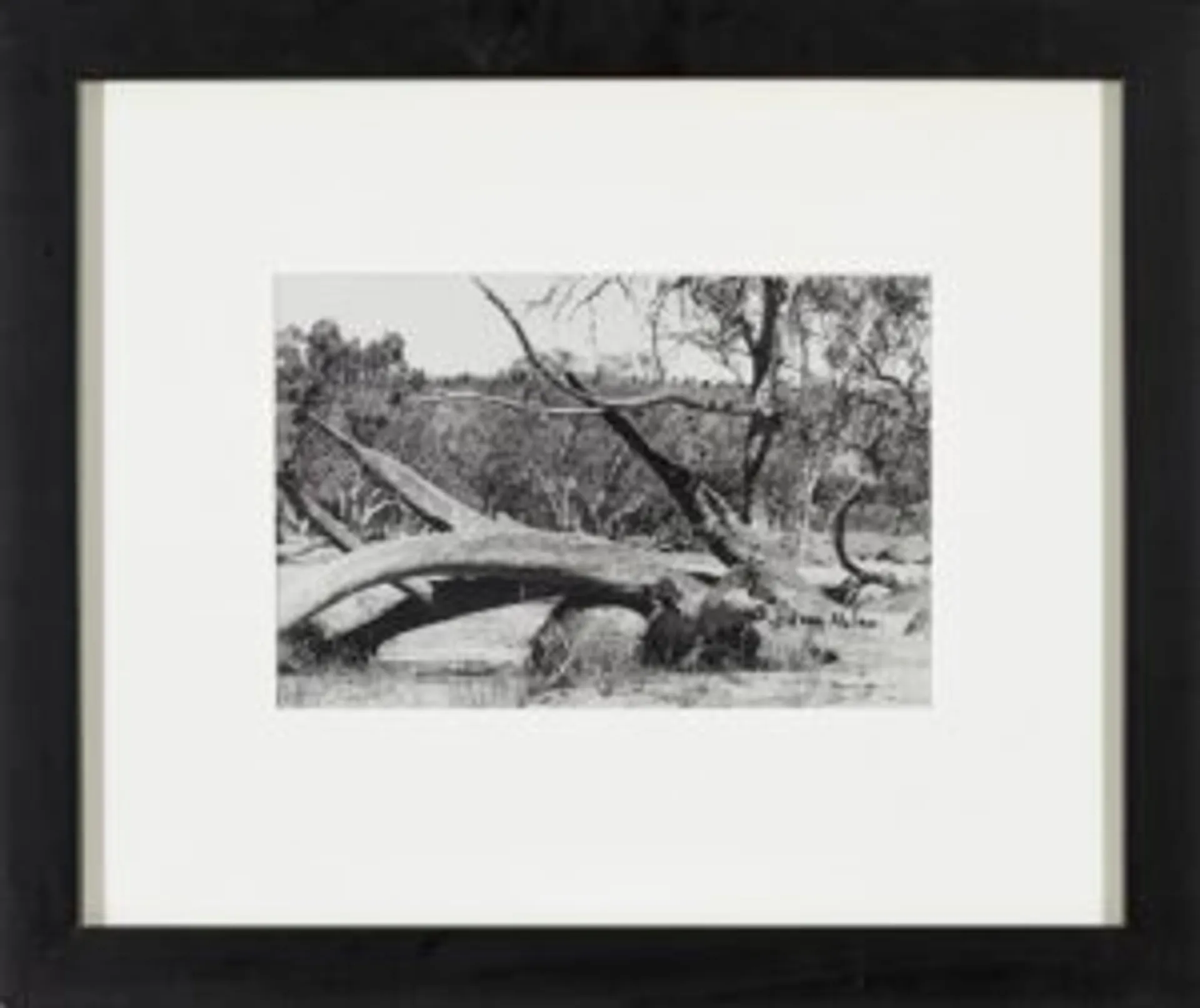 UNTITLED
