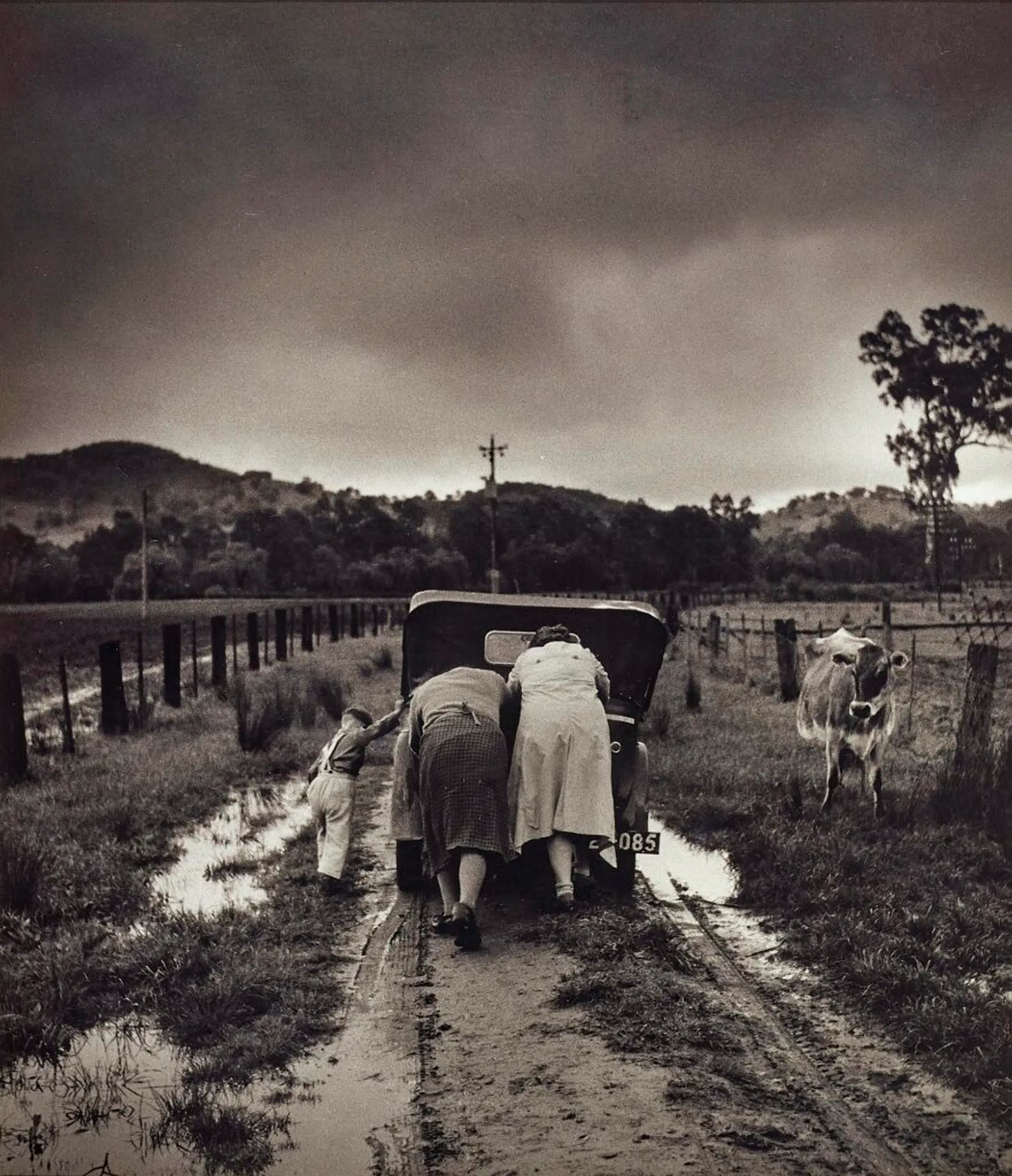 TOBACCO ROAD, OVENS VALLEY