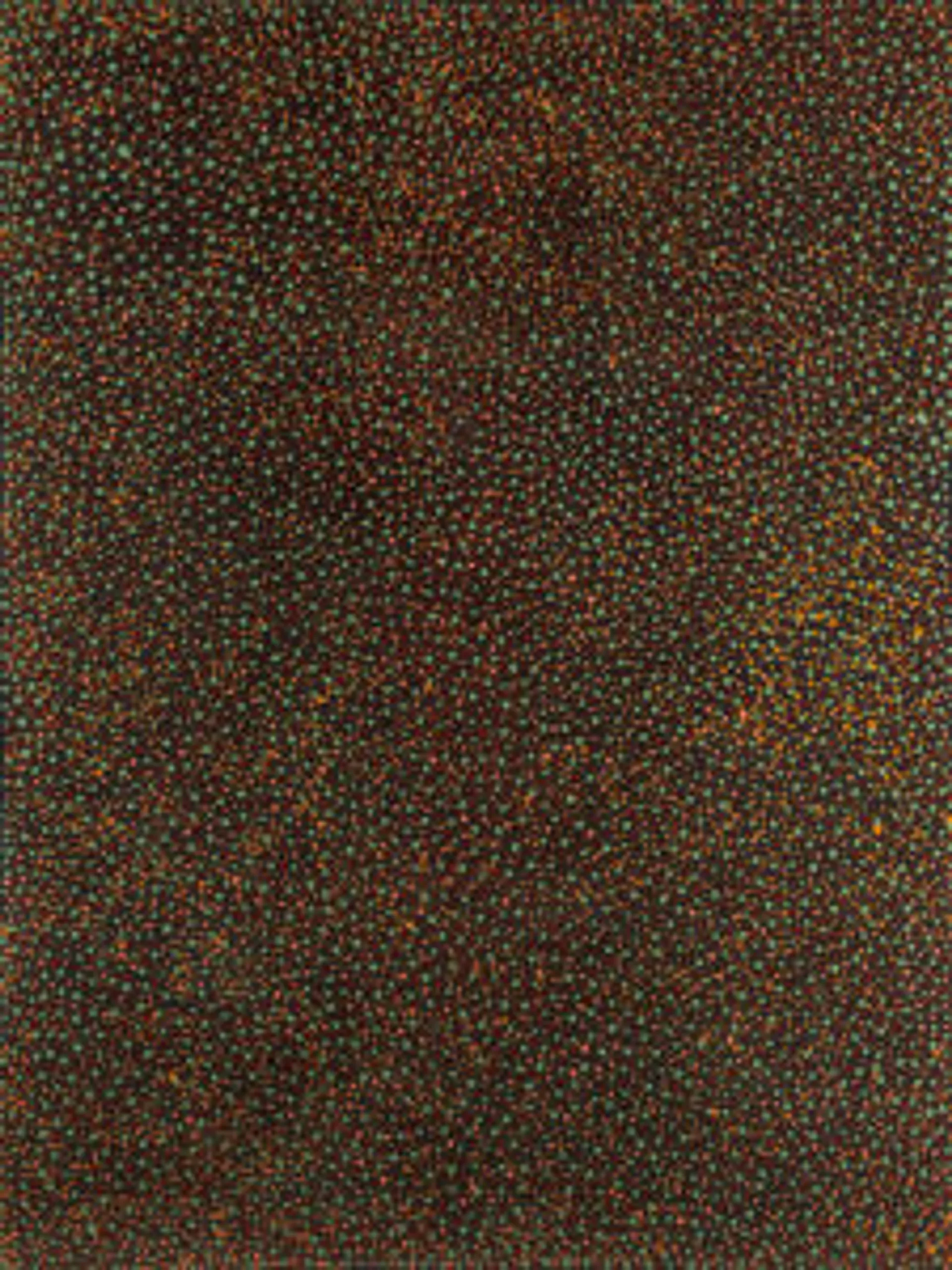 BUSH PLUM