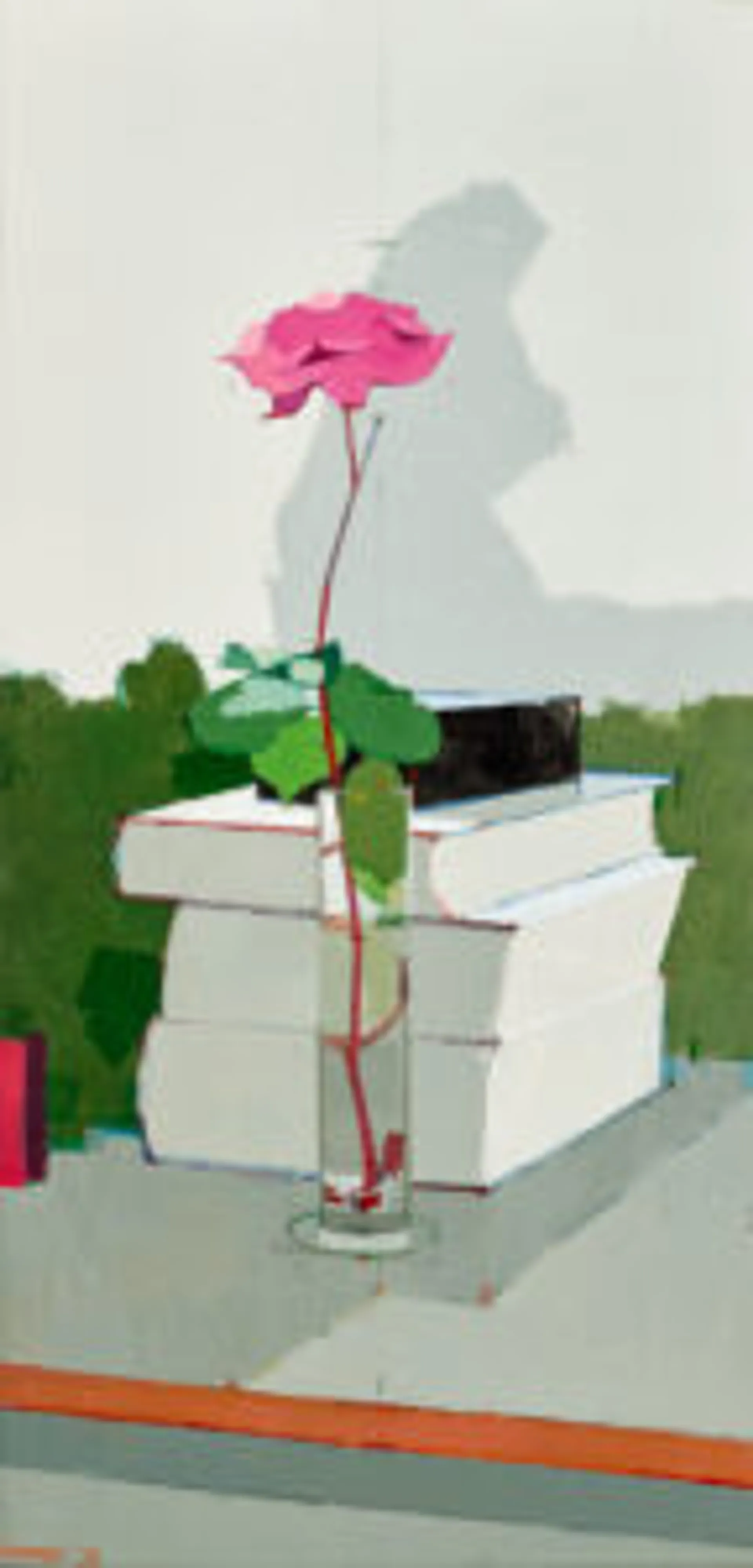 ROSE AGAINST THE LIGHT