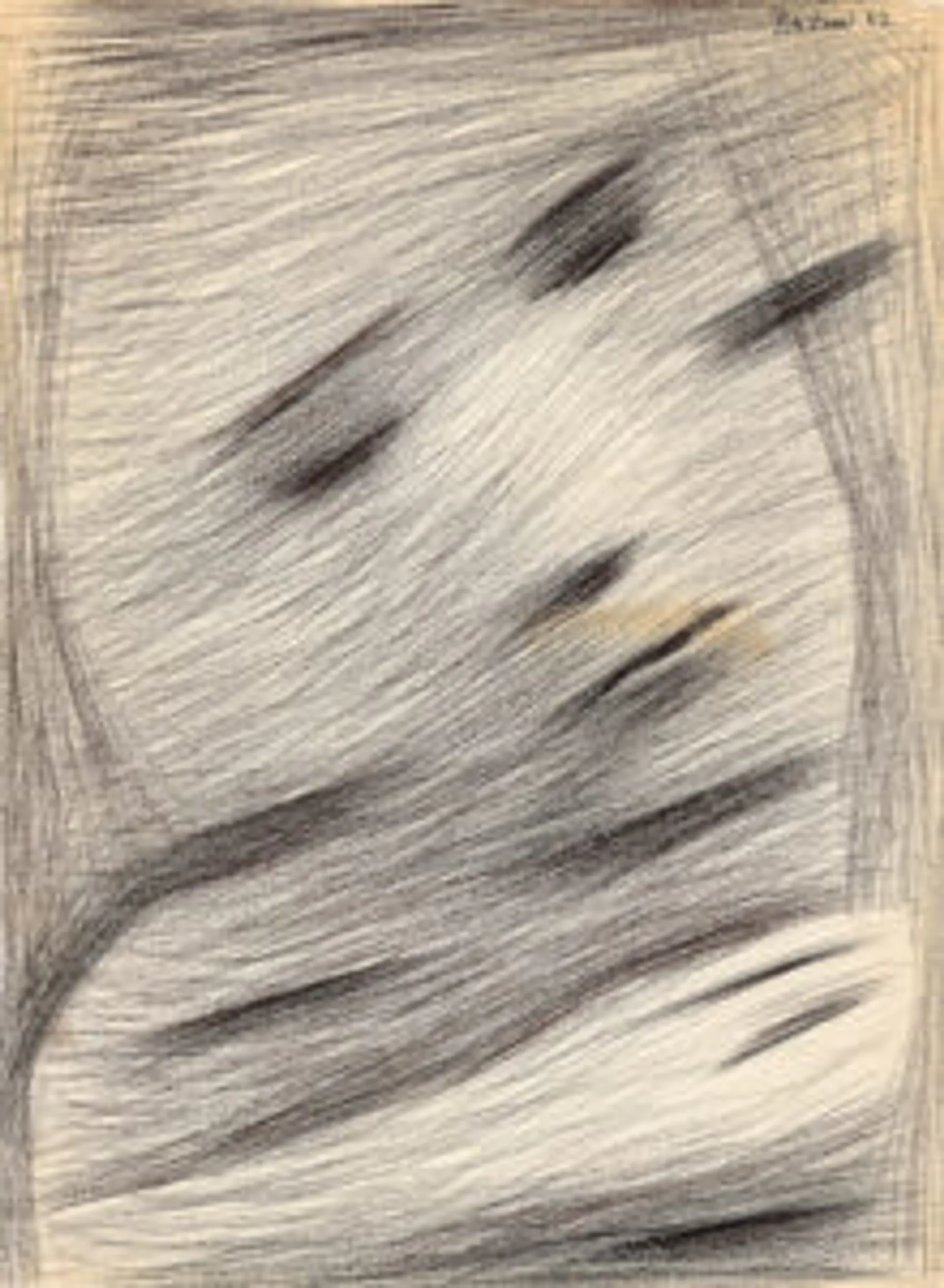 METAMORPHOSIS OF A FACE II