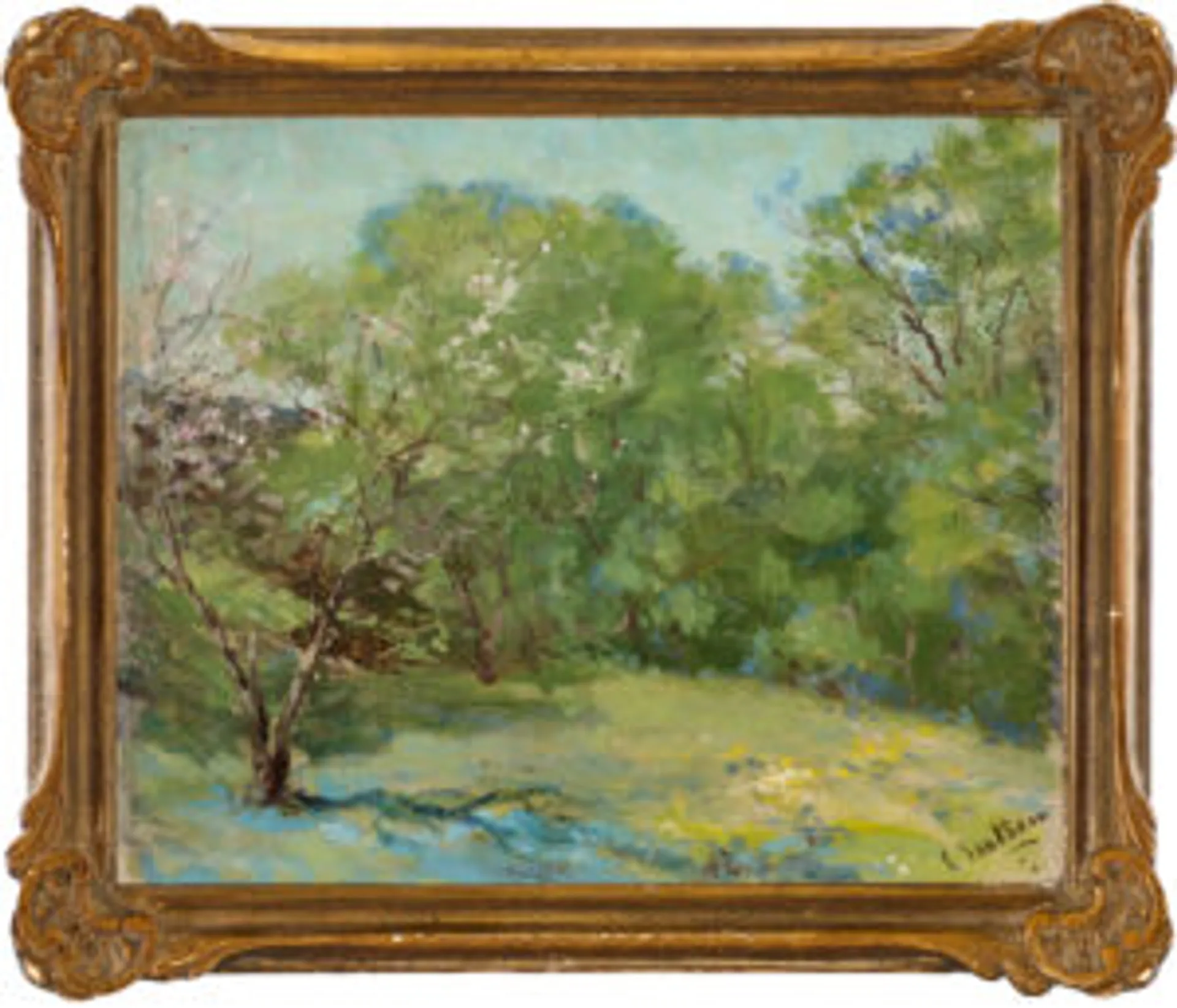 SPRING