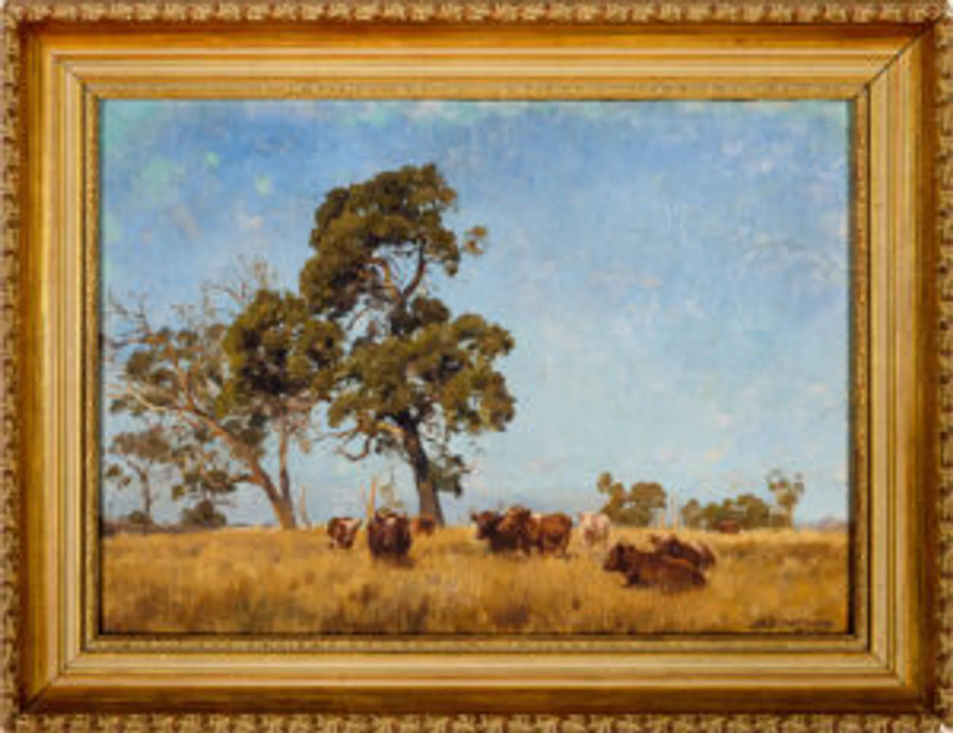 CATTLE GRAZING