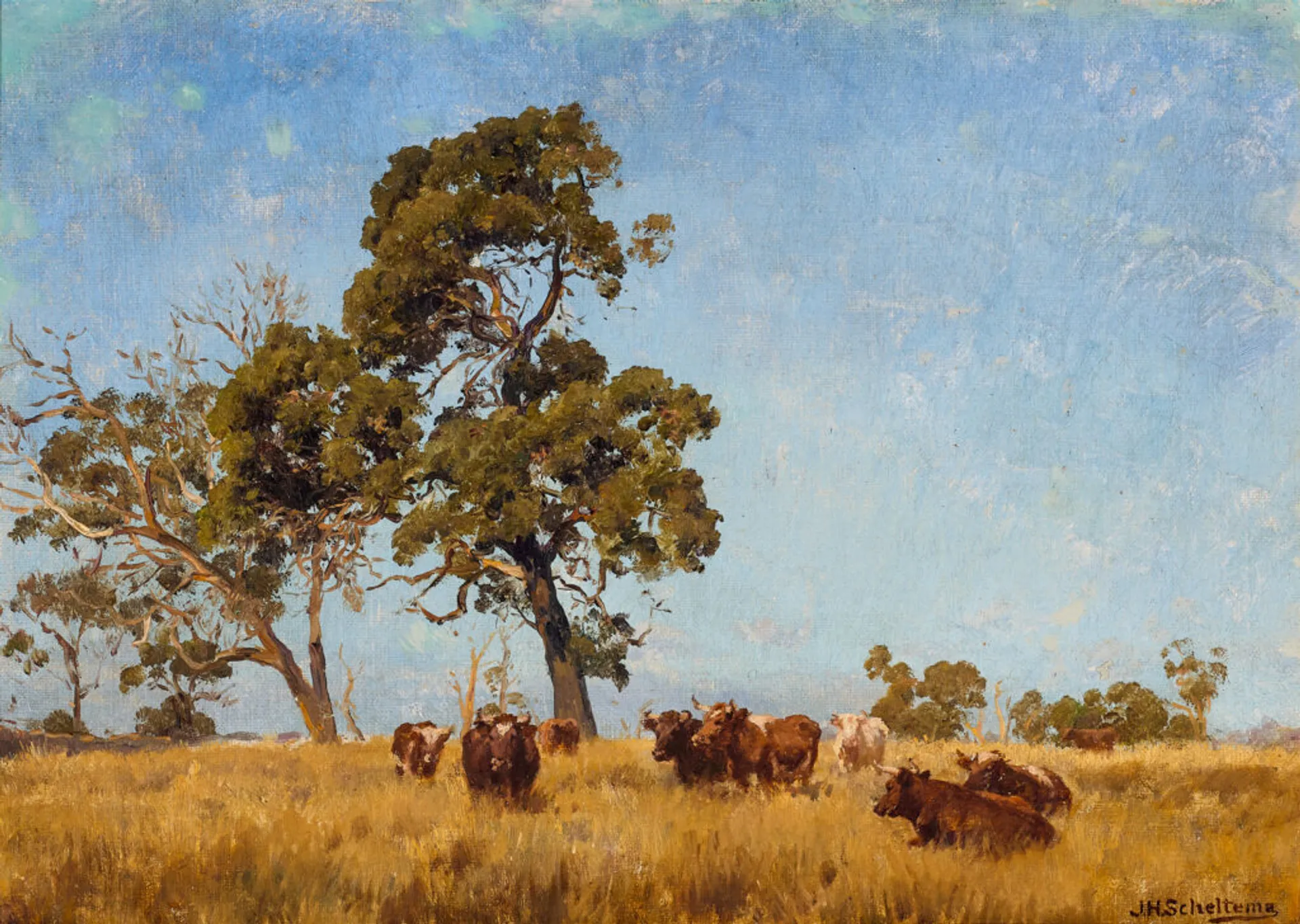 CATTLE GRAZING