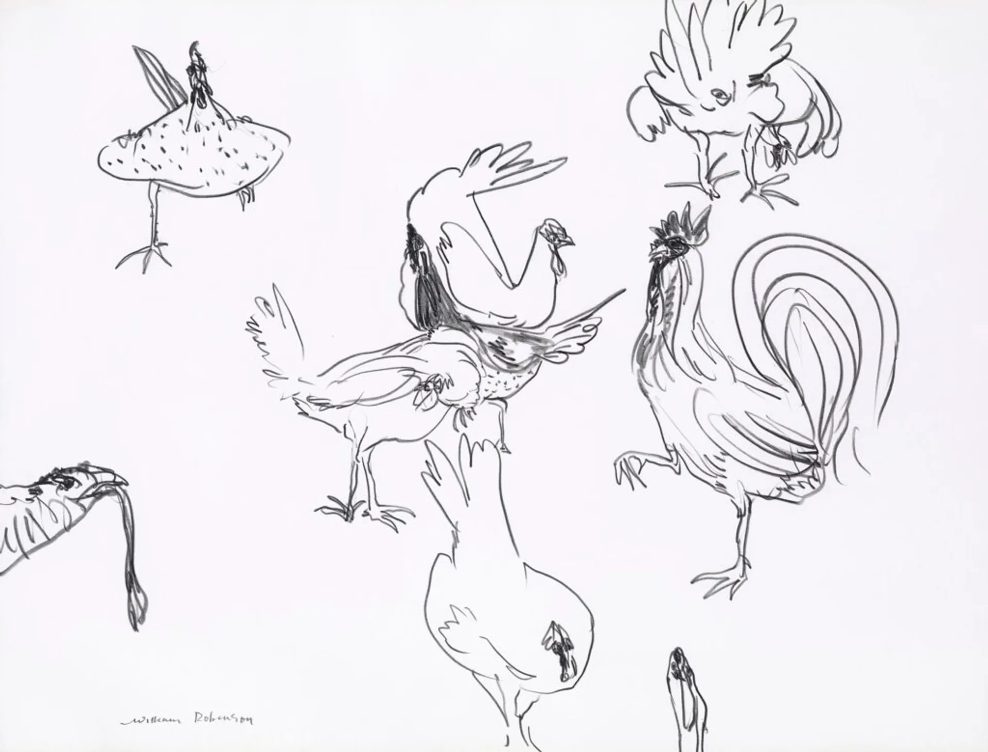 CHOOKS