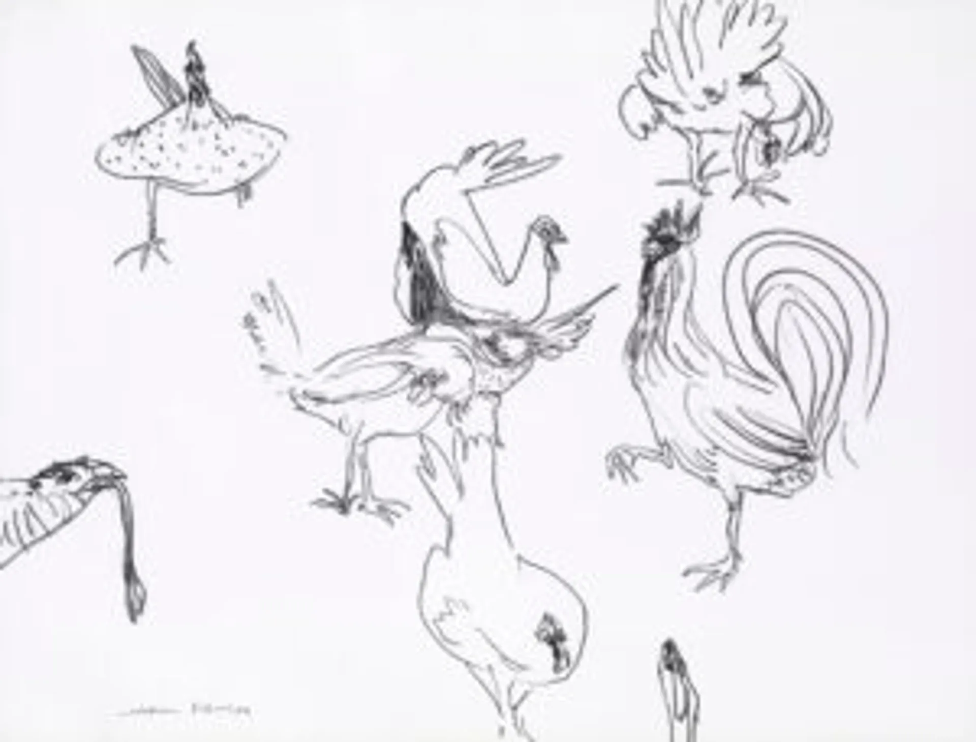 CHOOKS