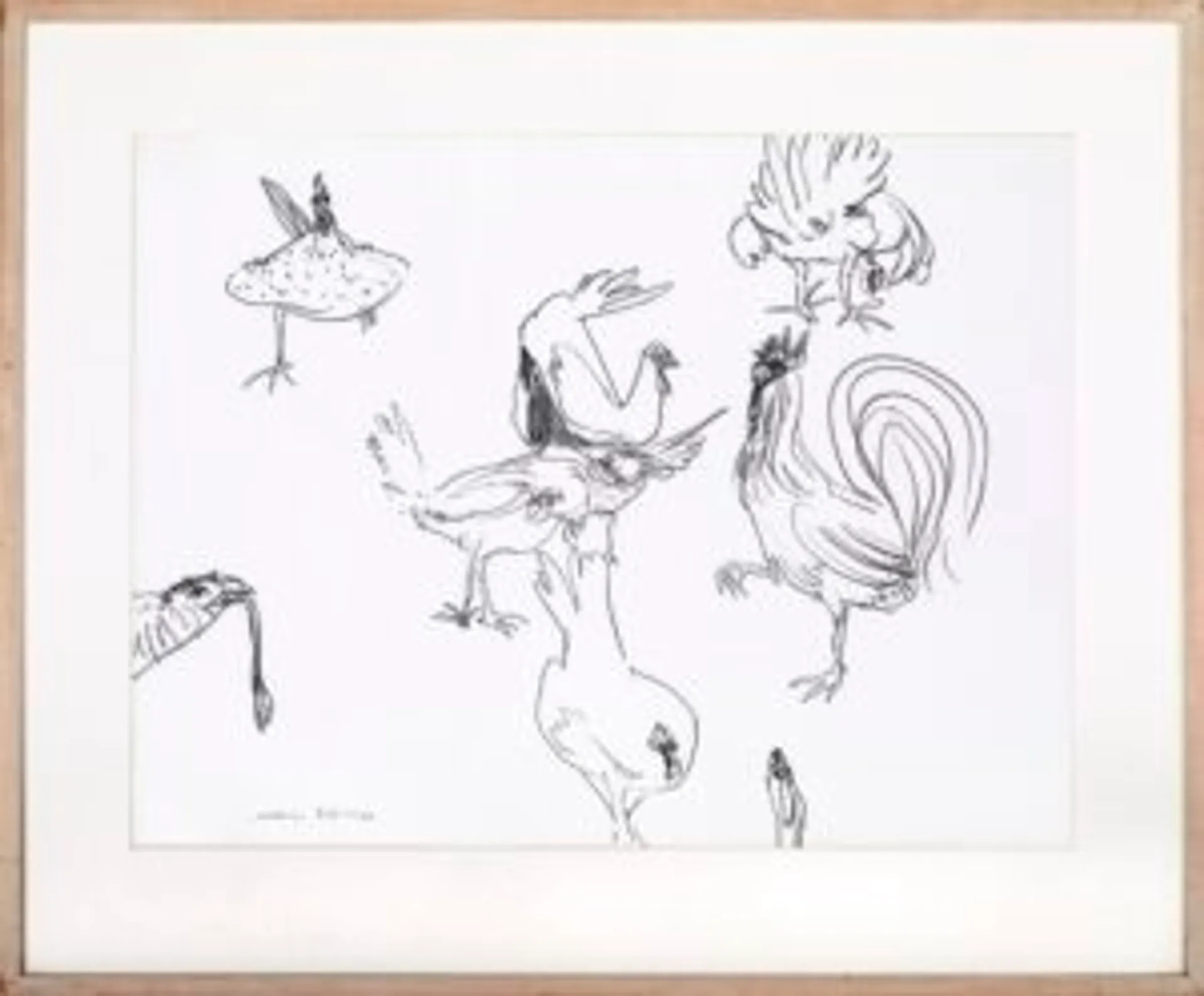 CHOOKS