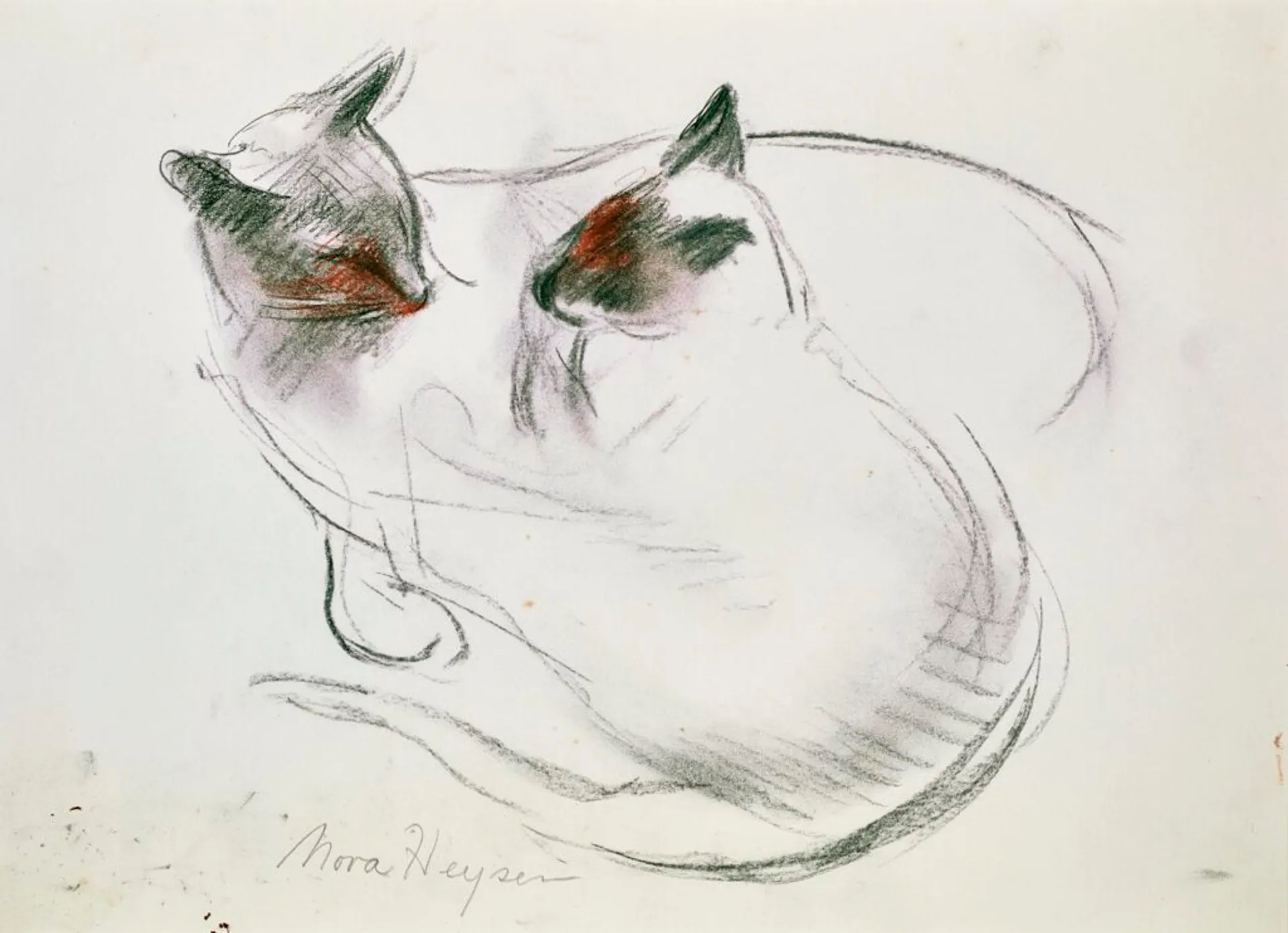 CATS