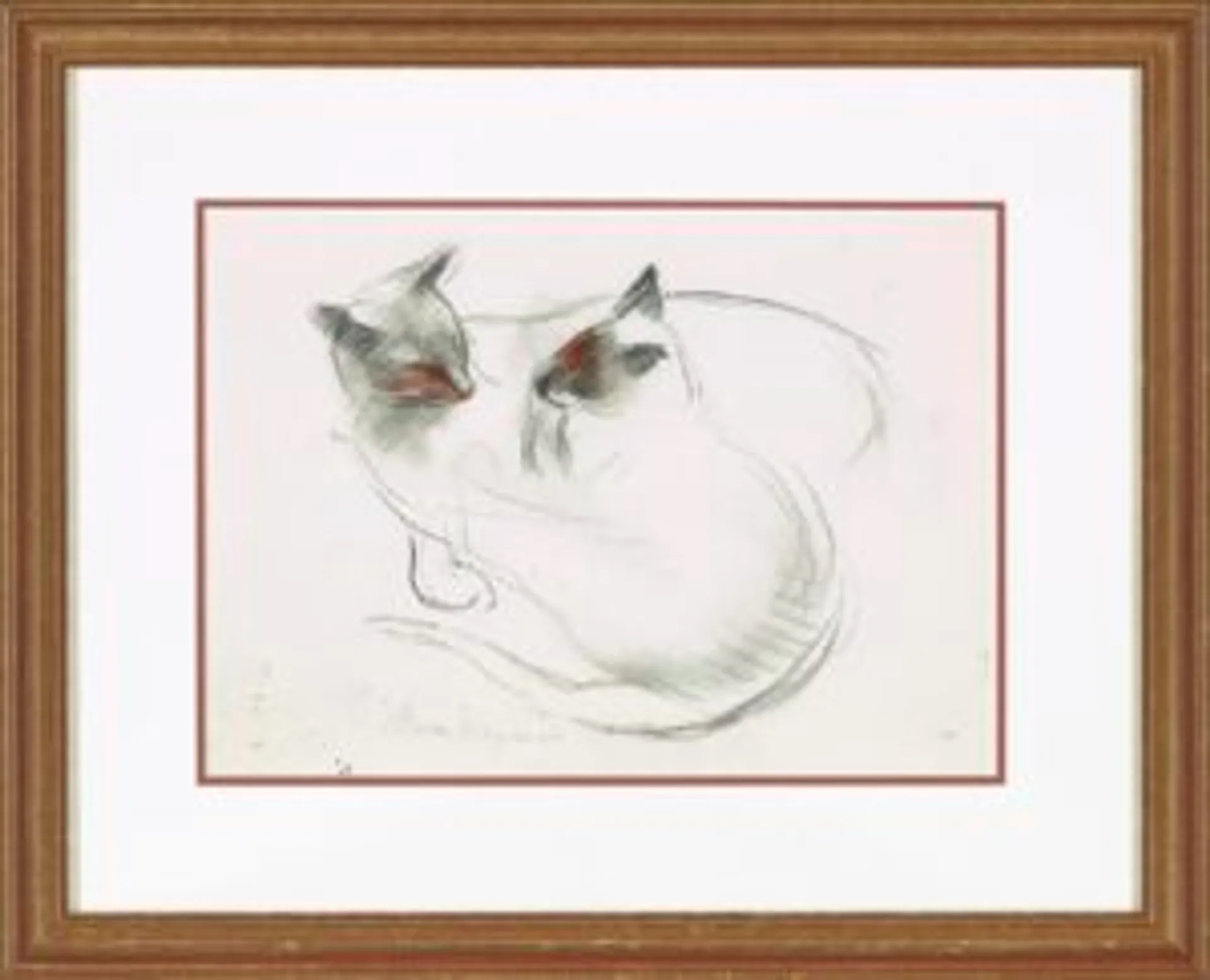 CATS