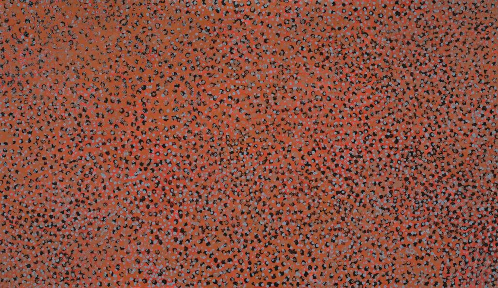 MERNE NDORKWA (WILD PLUM)