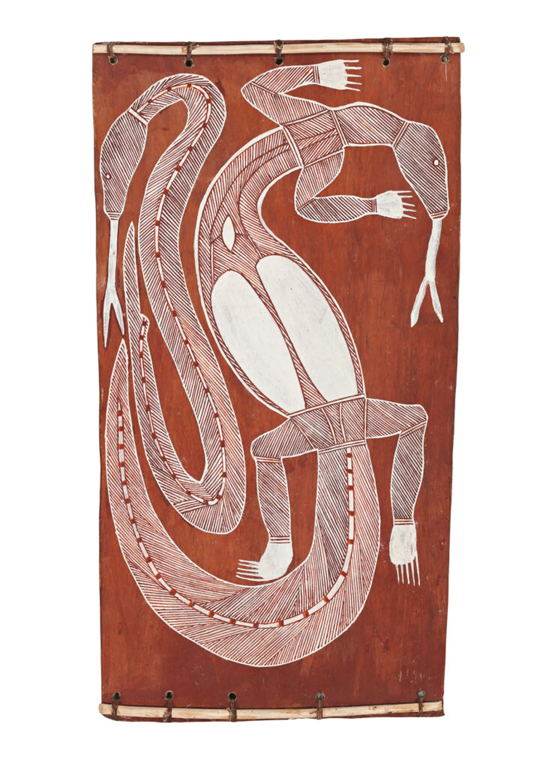 GOANNA AND FILE SNAKE