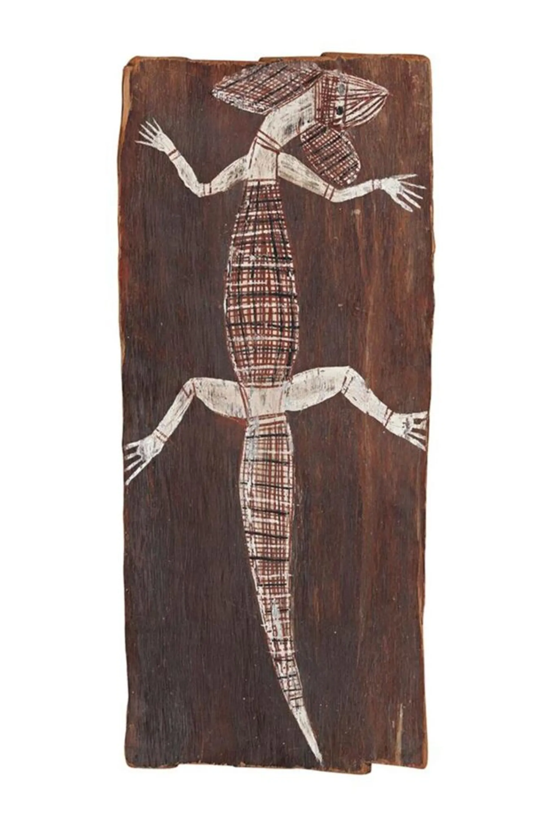 BIG EAR FRILL-NECKED LIZARD