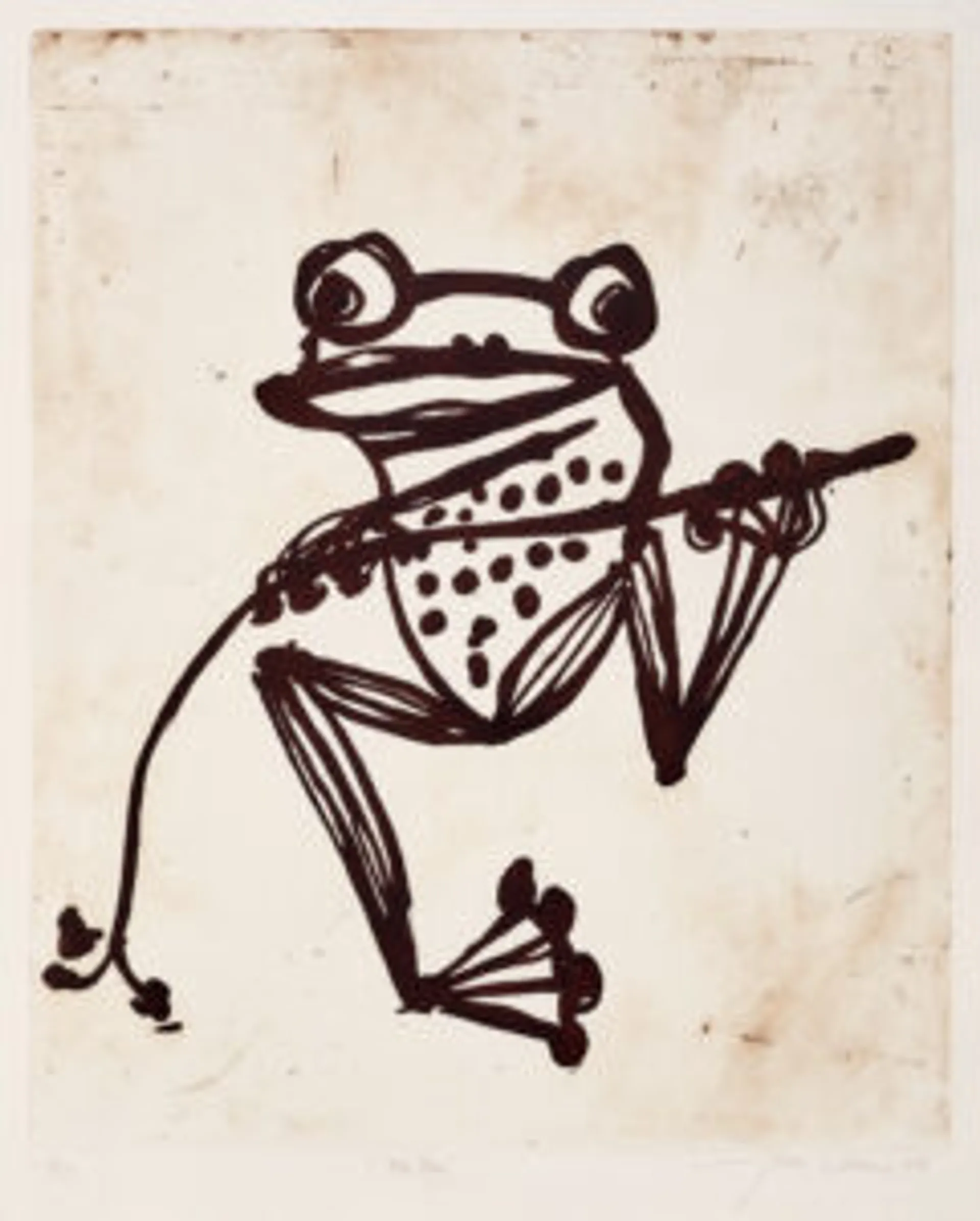 Tree frog