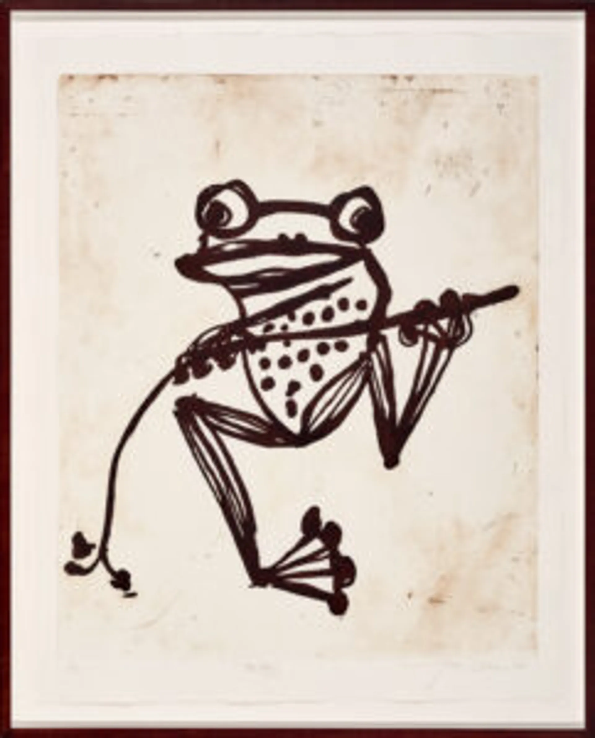 Tree frog