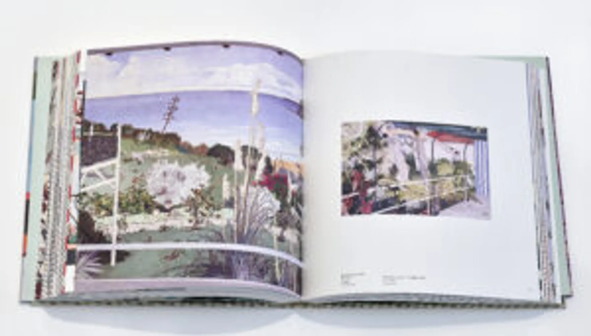 The Woodblock Painting of Cressida Campbell