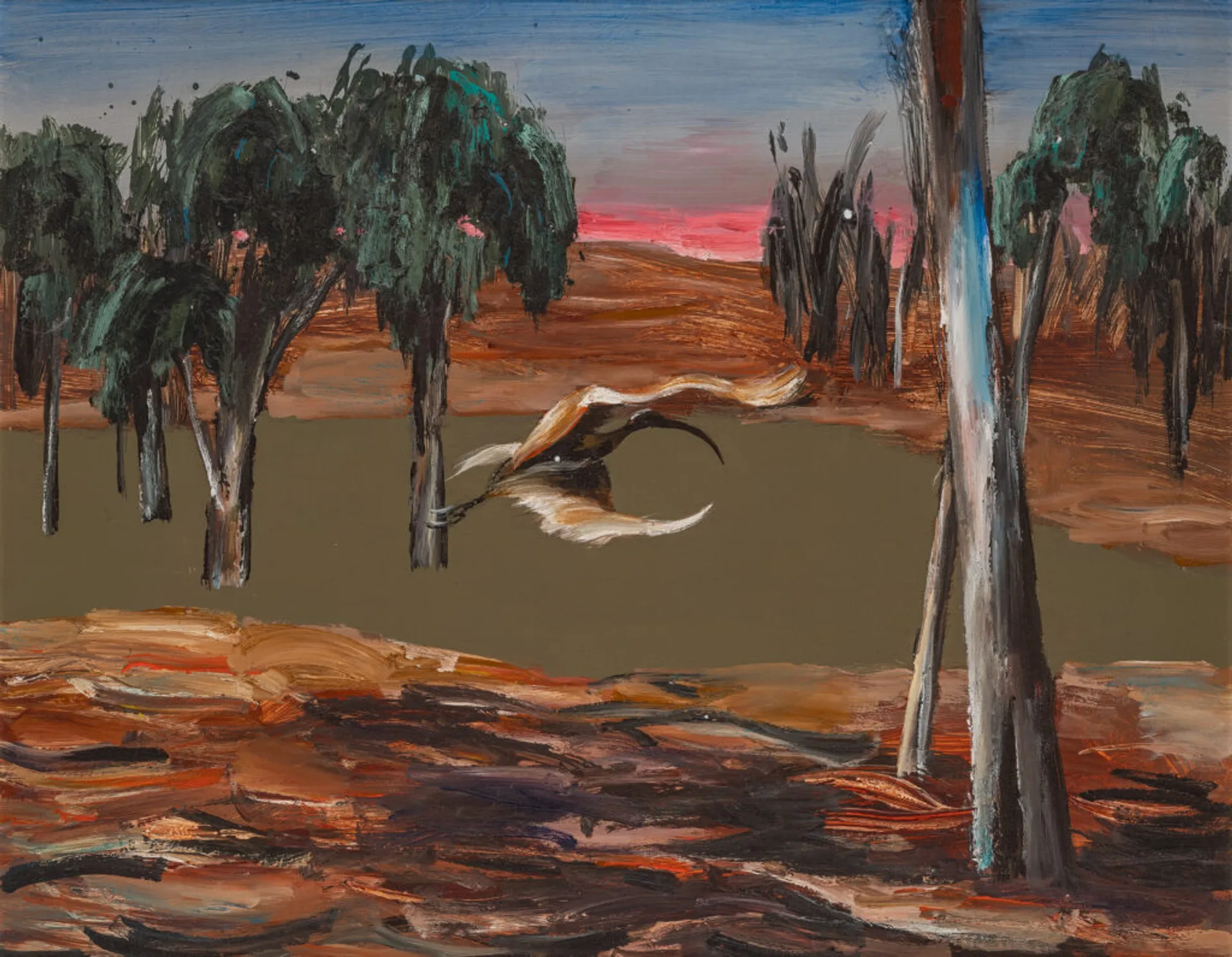IBIS OVER WATERHOLE