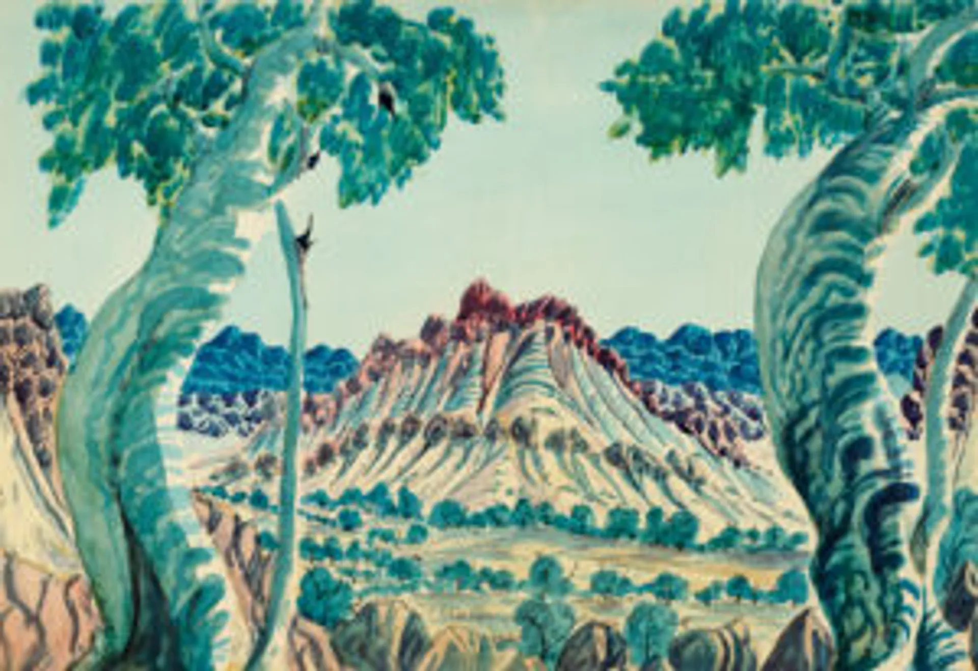 Central Australian landscape
