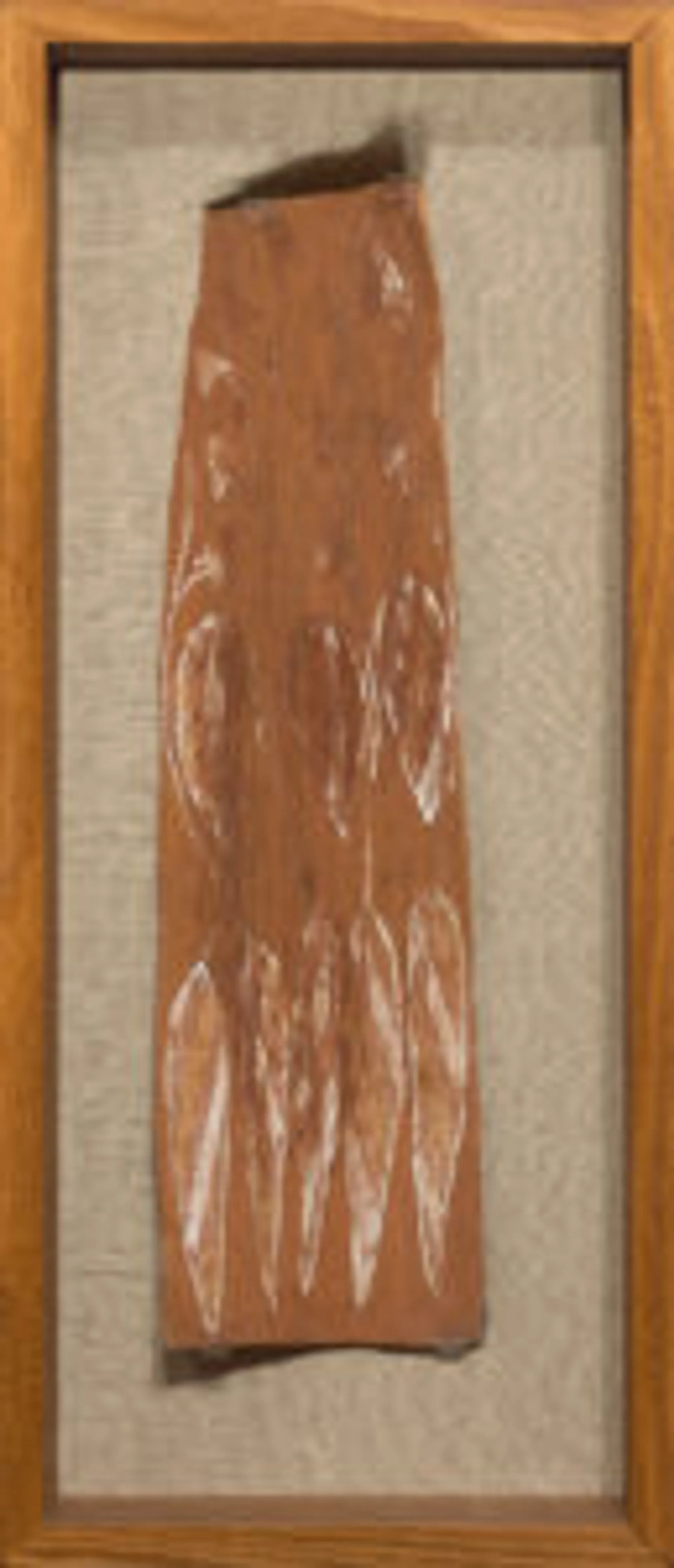 TWO EUCALYPTUS BARKS