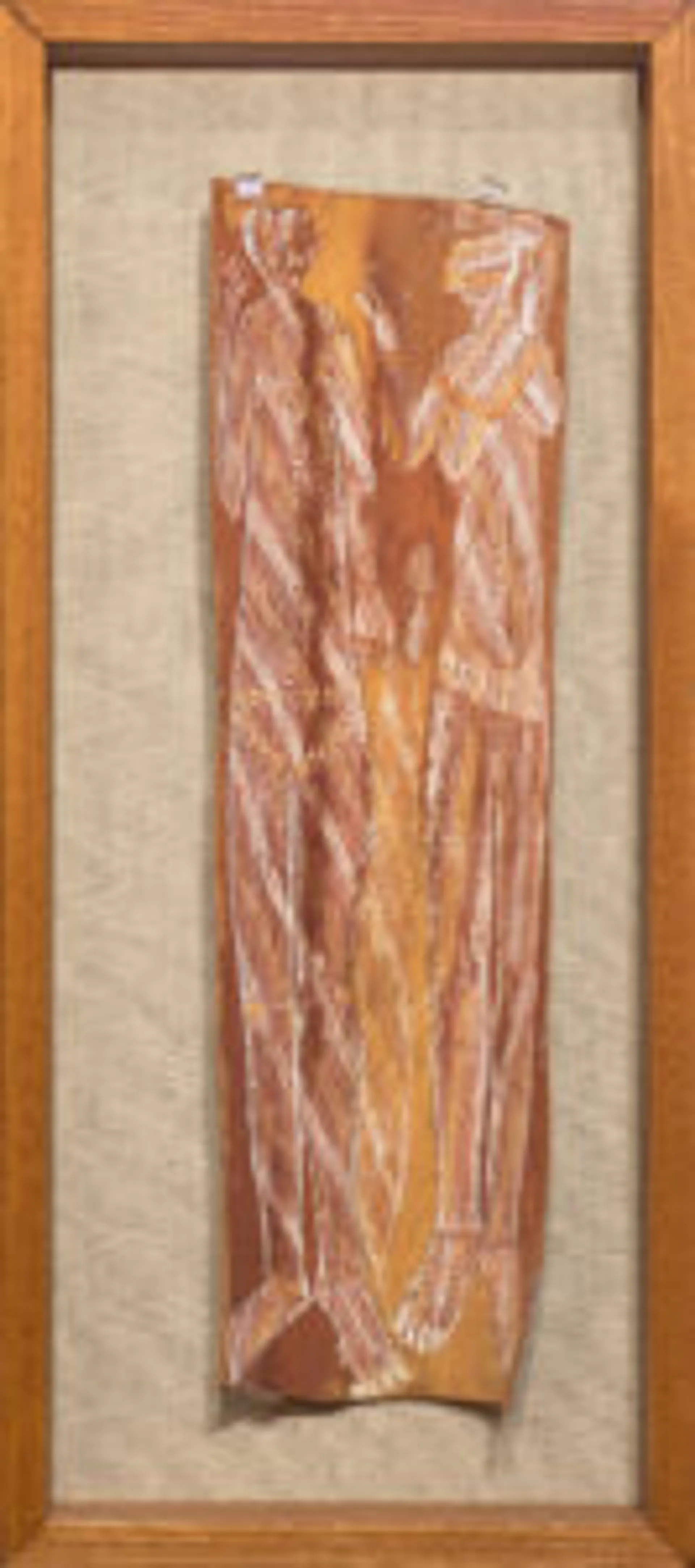 TWO EUCALYPTUS BARKS