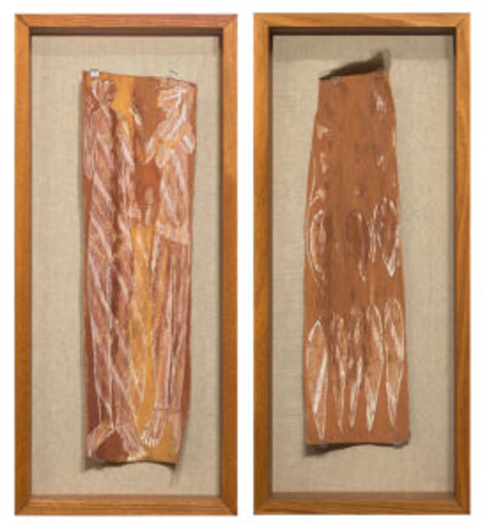 TWO EUCALYPTUS BARKS