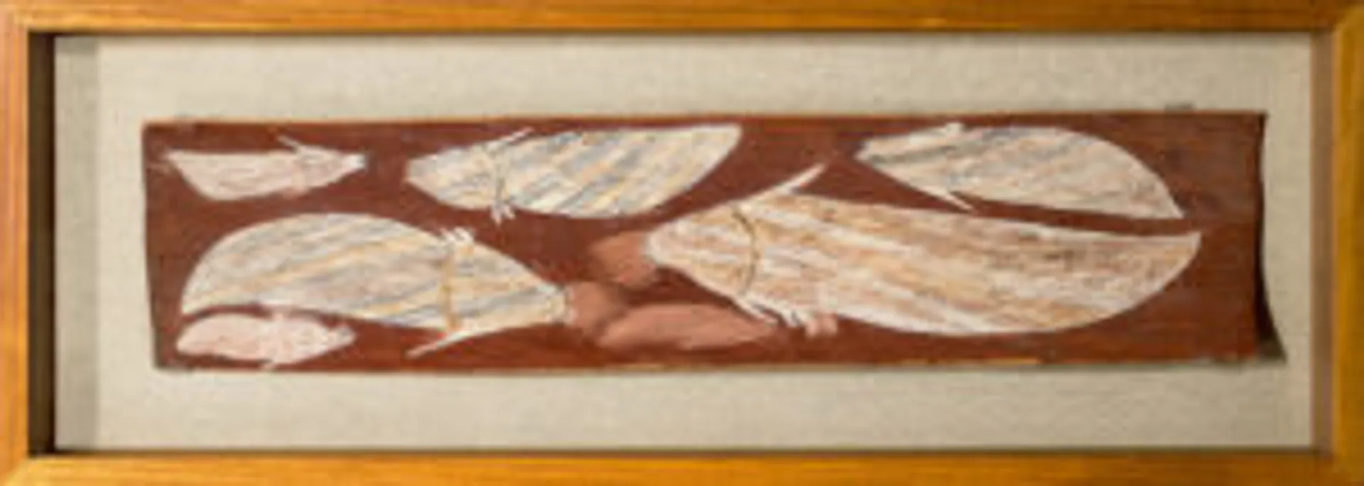 TWO EUCALYPTUS BARKS