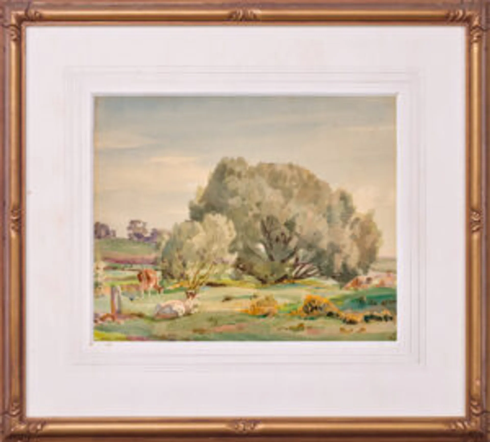 BASKET WILLOWS IN SPRING, BALHANNAH