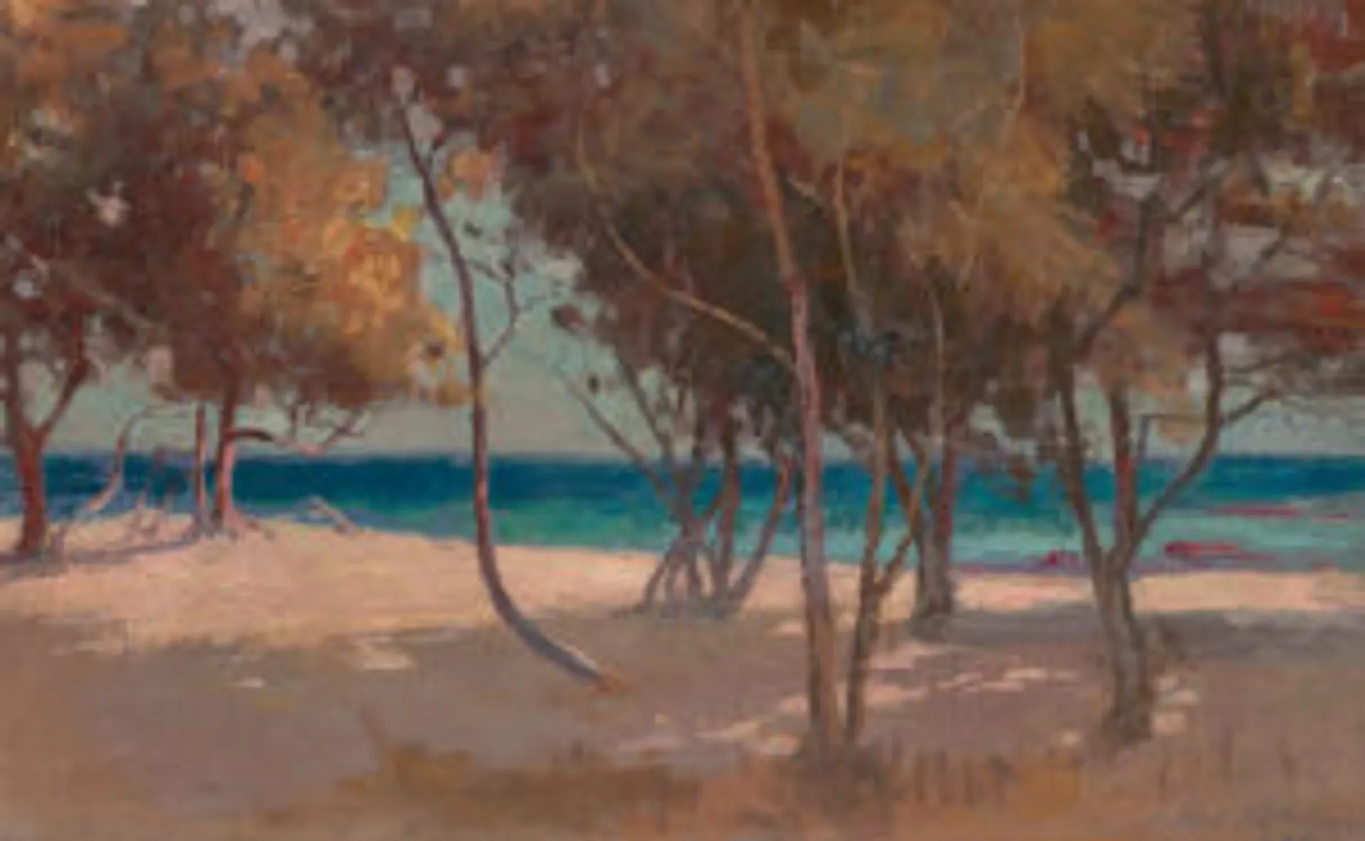 TI-TREE, BRIGHTON BEACH