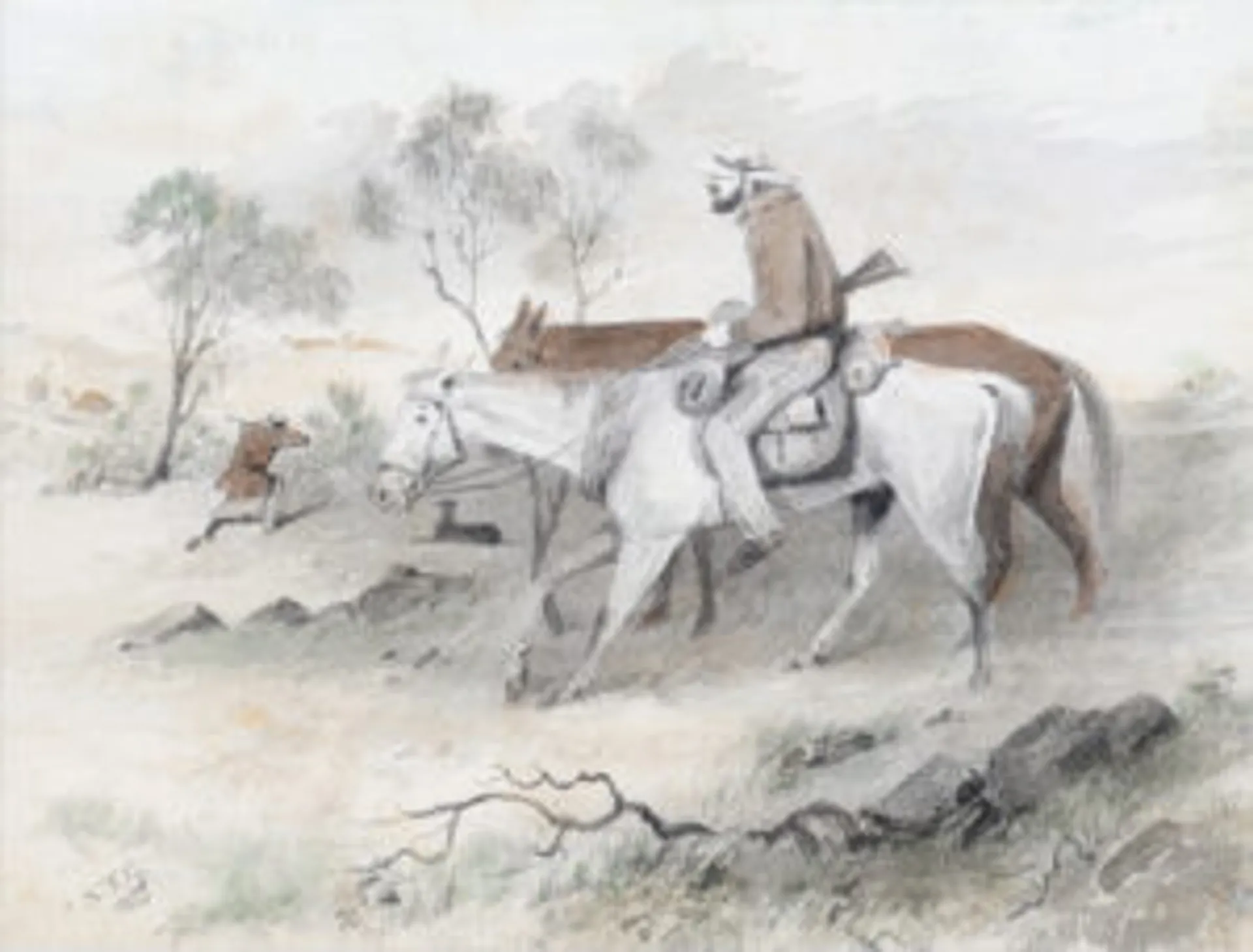 EMU HUNTING